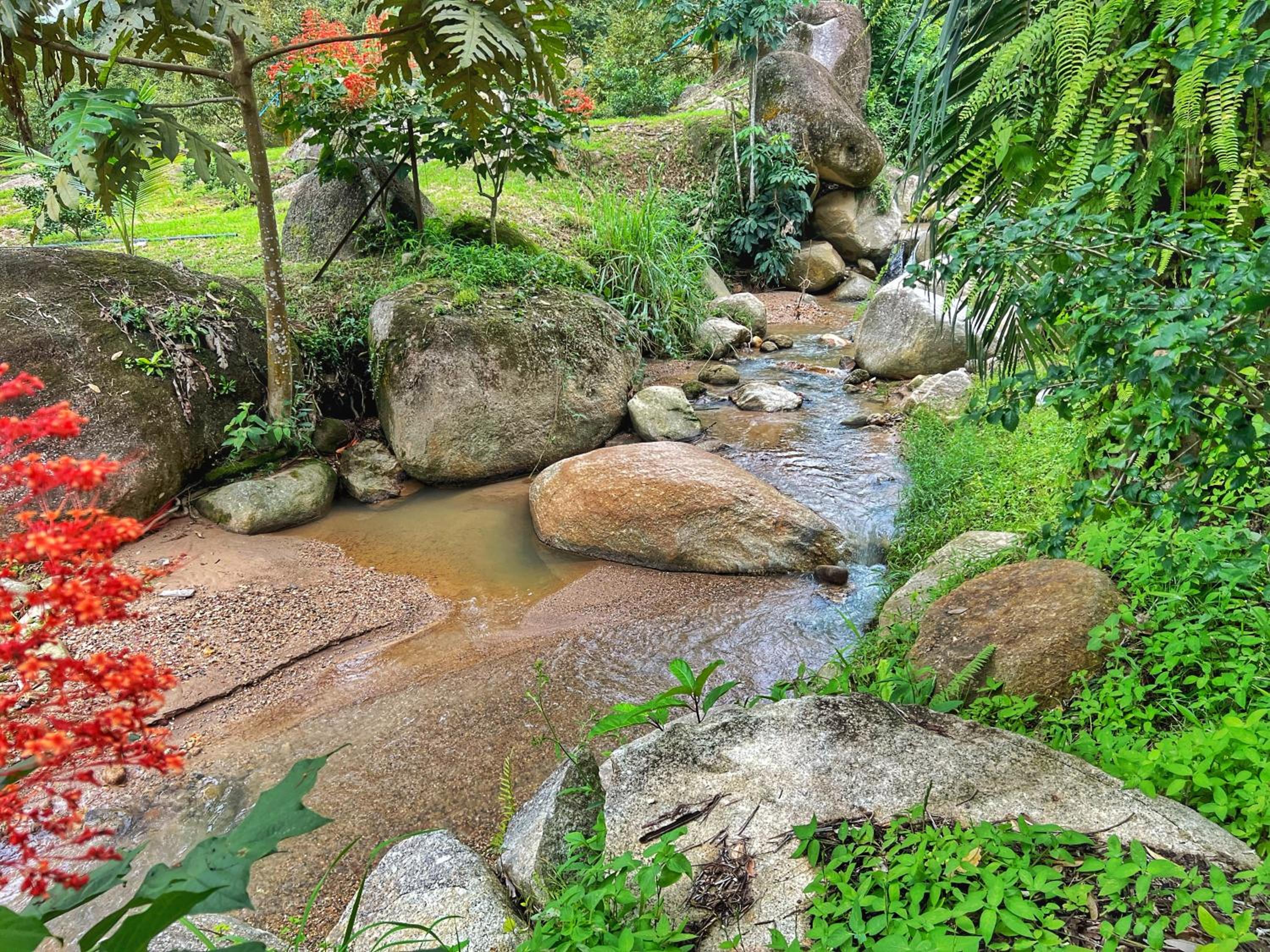 Bentong Nature Orchard Homestay