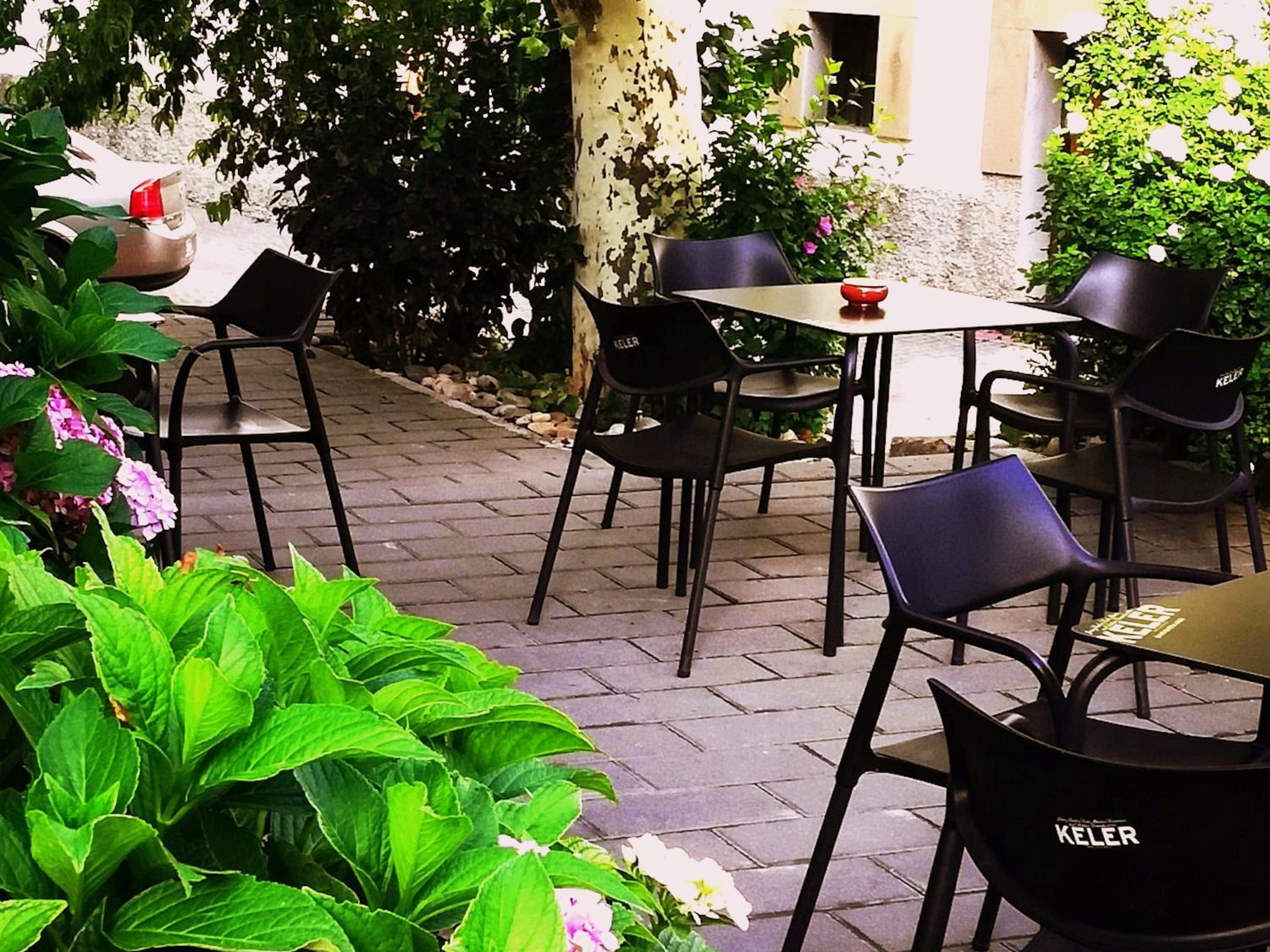 Albergue Mesón del Camino
