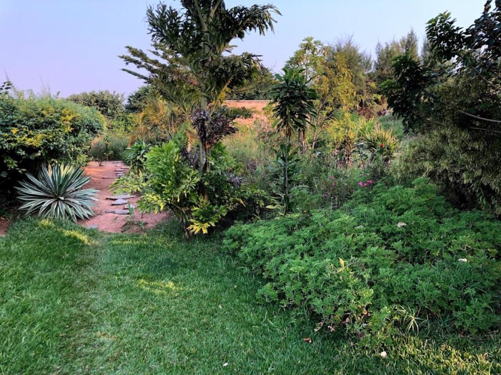 Amakuza resort