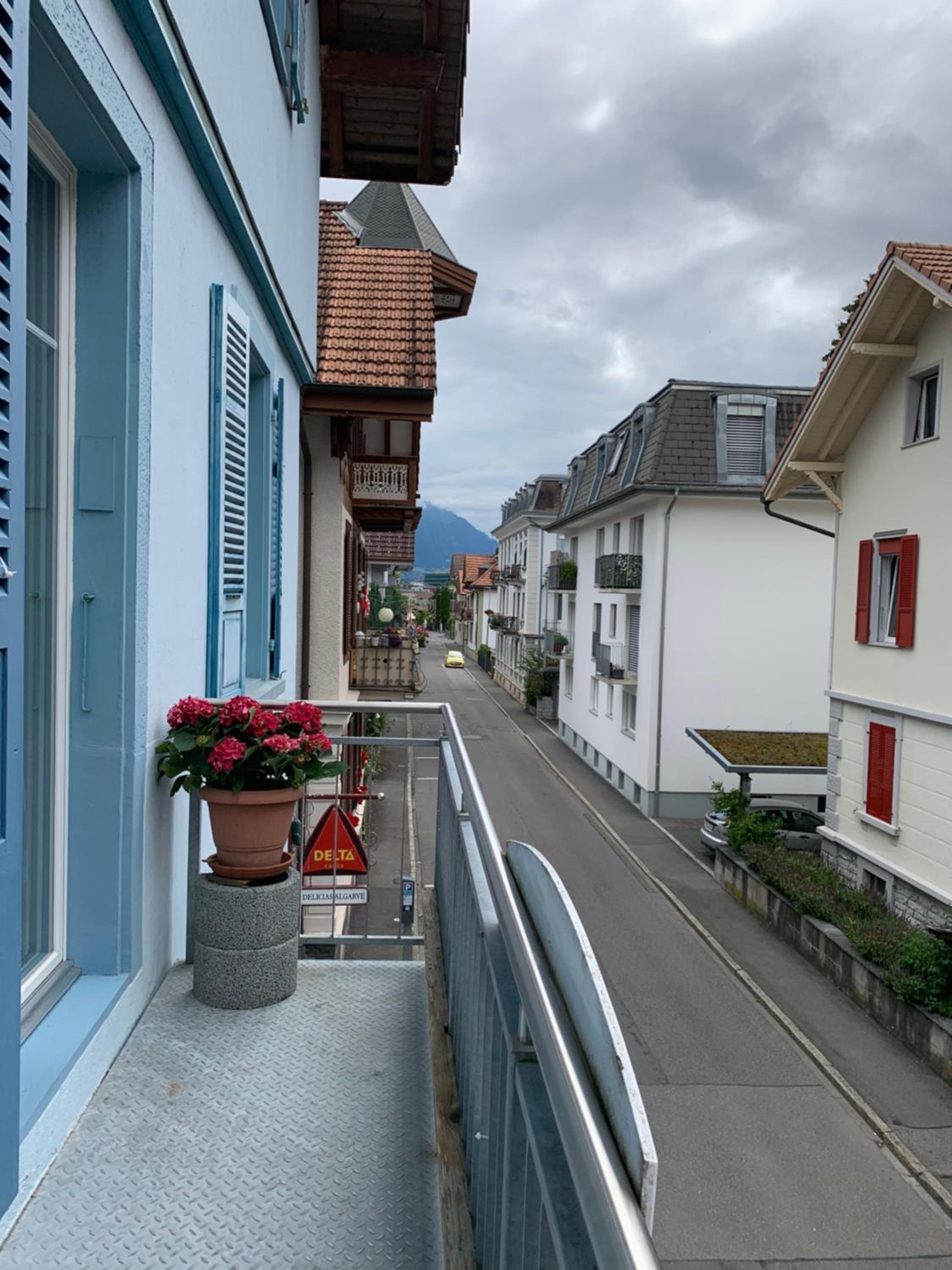 Niesenblick
