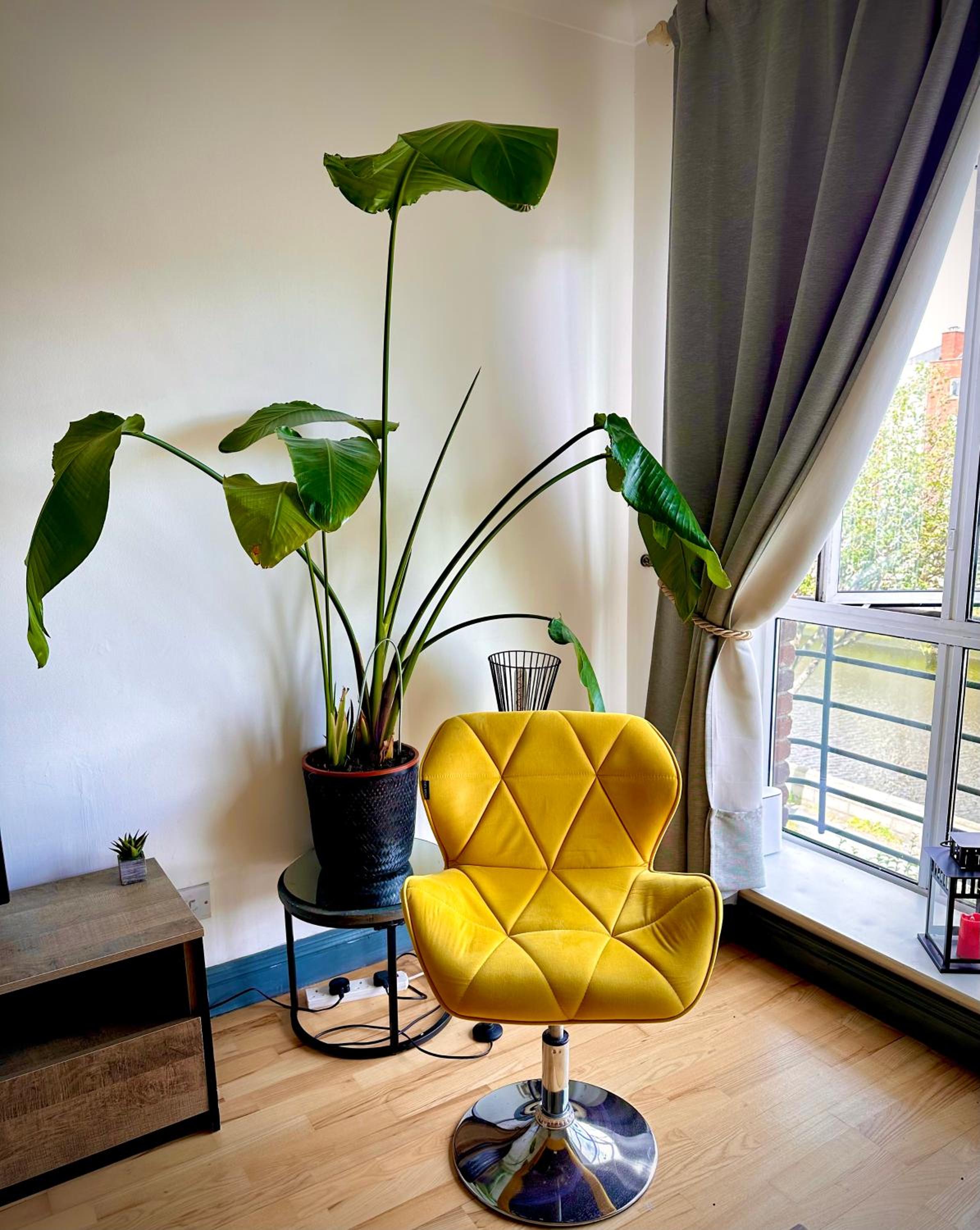 Riverview Apartment