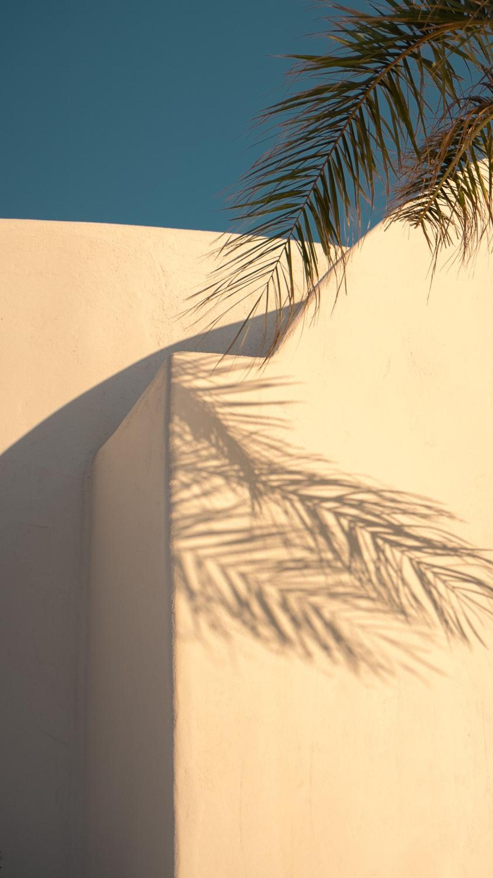 Patina Vivera Estate Santorini