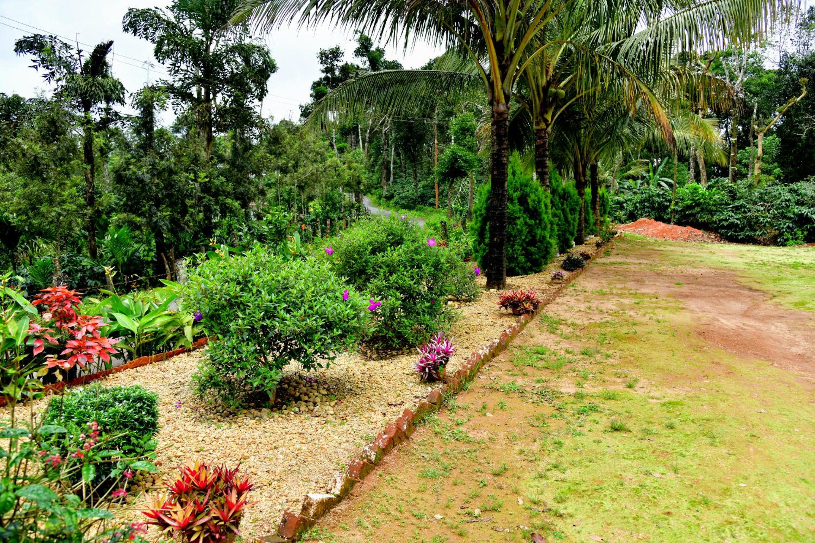 Estate Flora Homestay - Estate, Home Food, View Points view 4