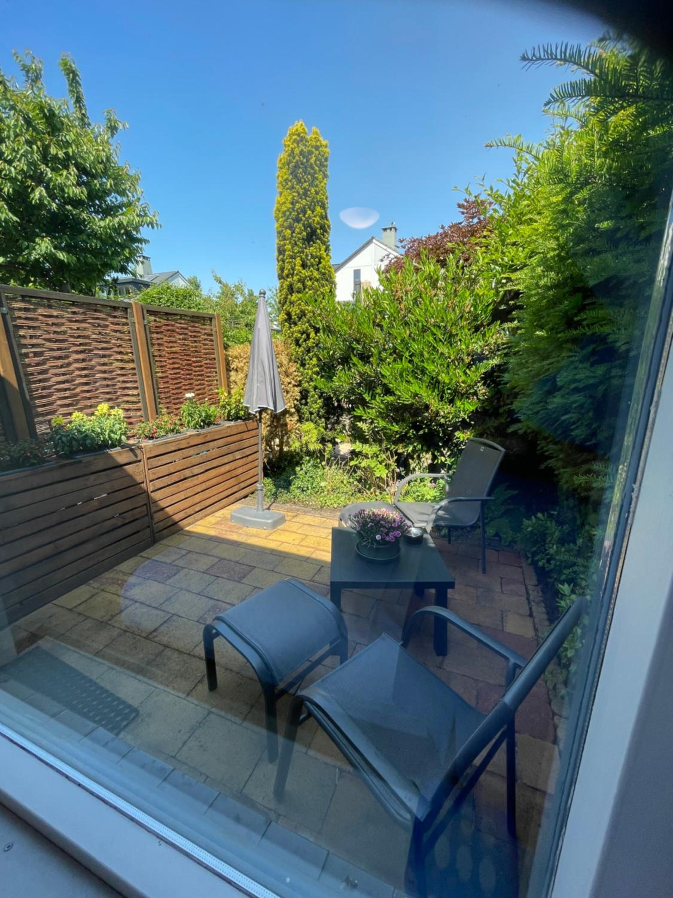 The Duck of Amsterdam