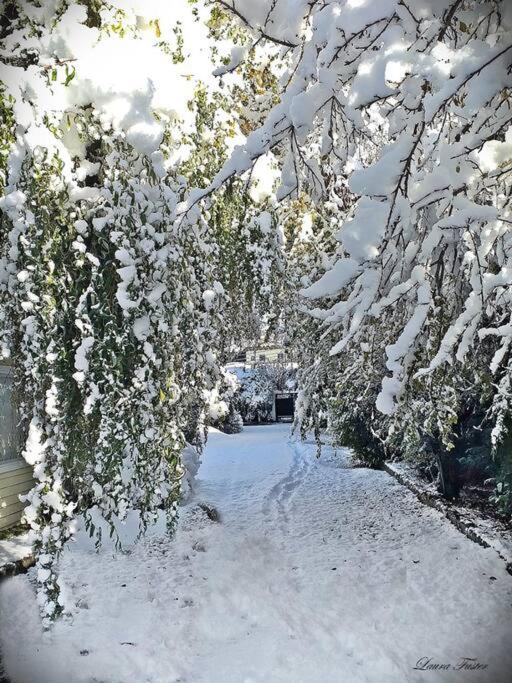 Cabañas Aires Patagonicos 3 ambientes