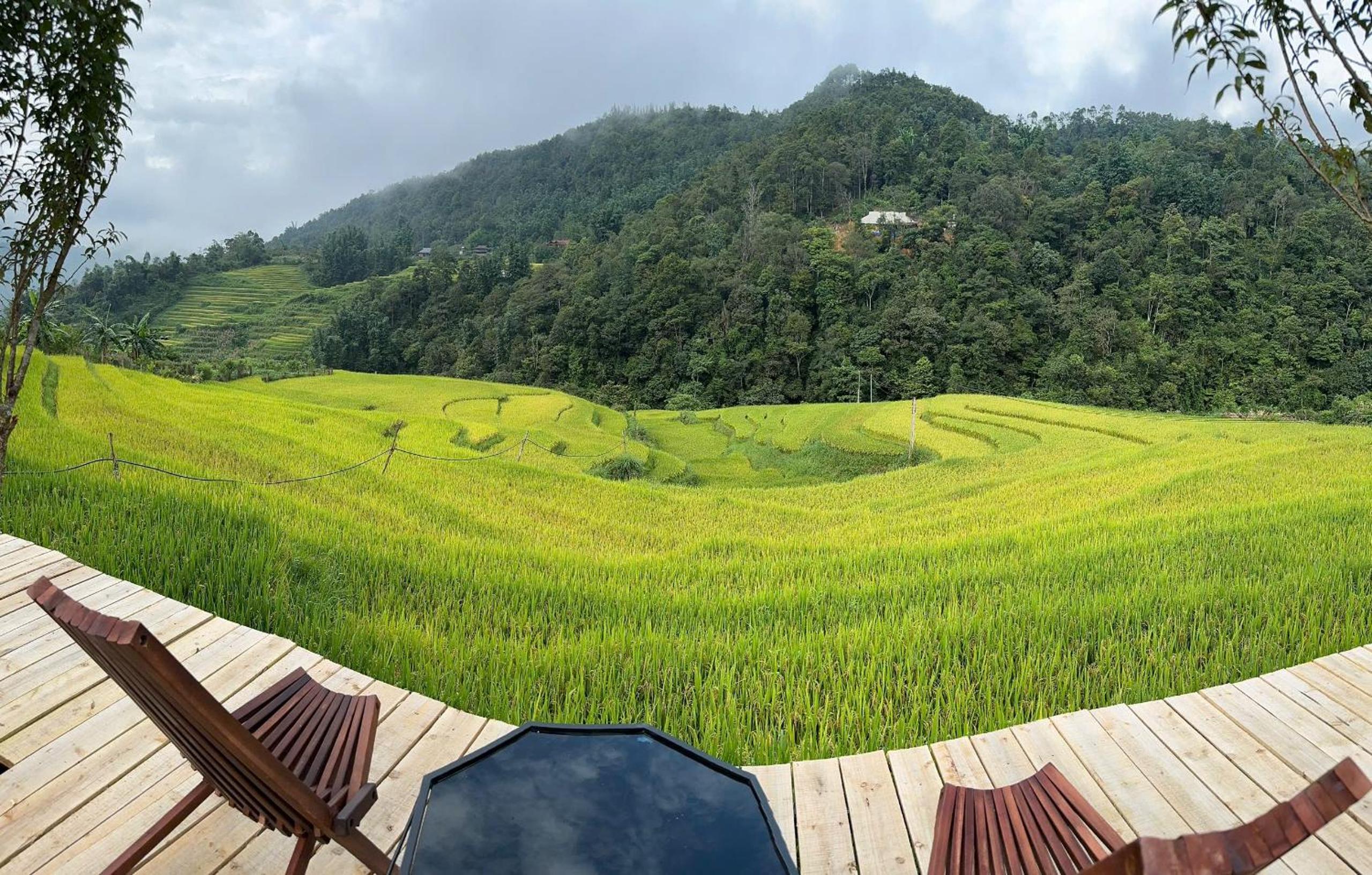 Sapawine Homestay
