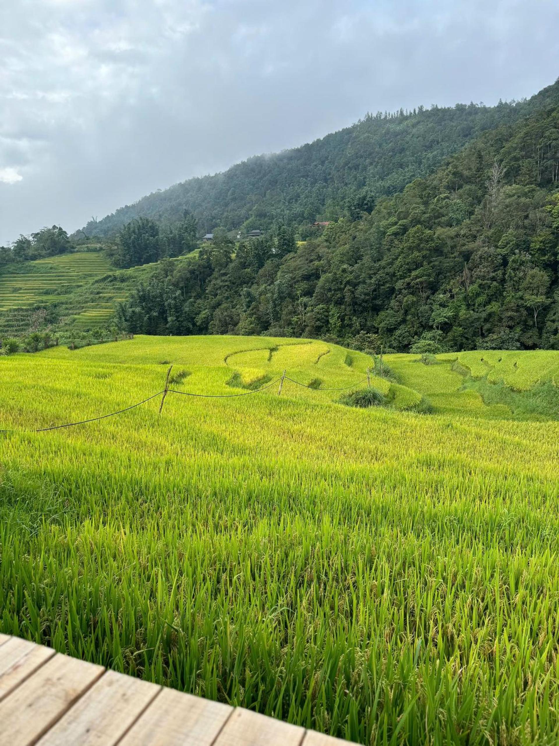 Sapawine Homestay