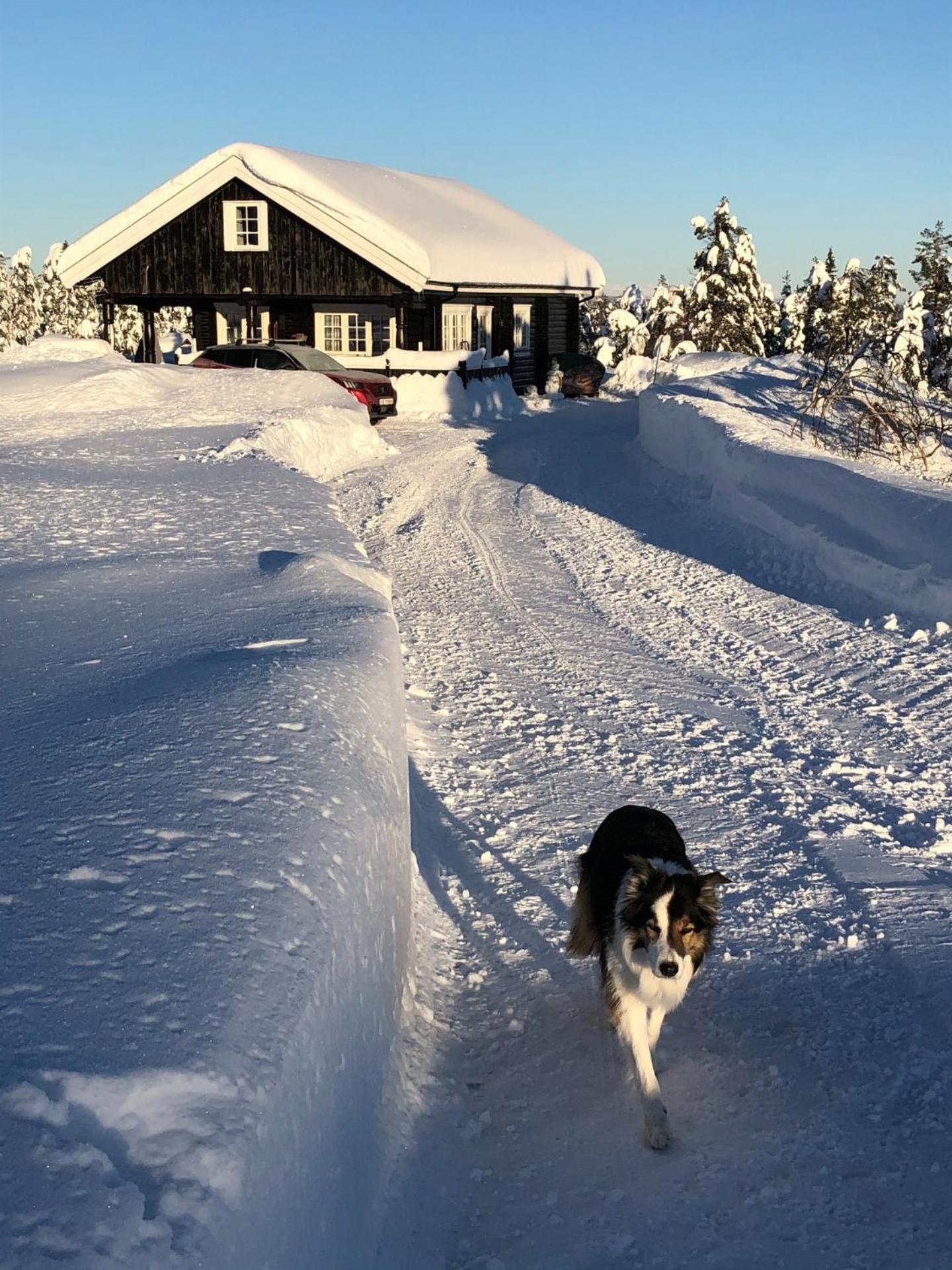 Trivelig by Norgesbooking - cabin at Blefjell