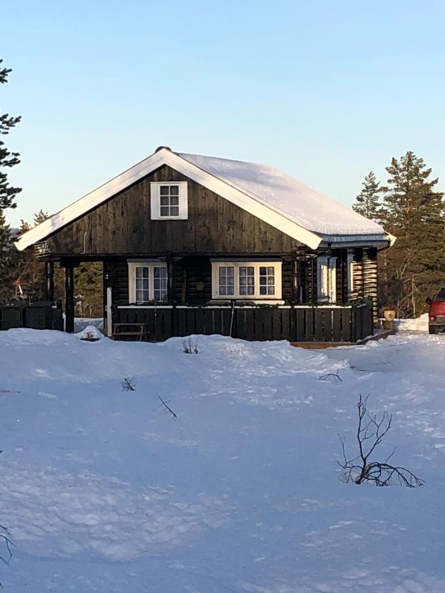 Trivelig by Norgesbooking - cabin at Blefjell