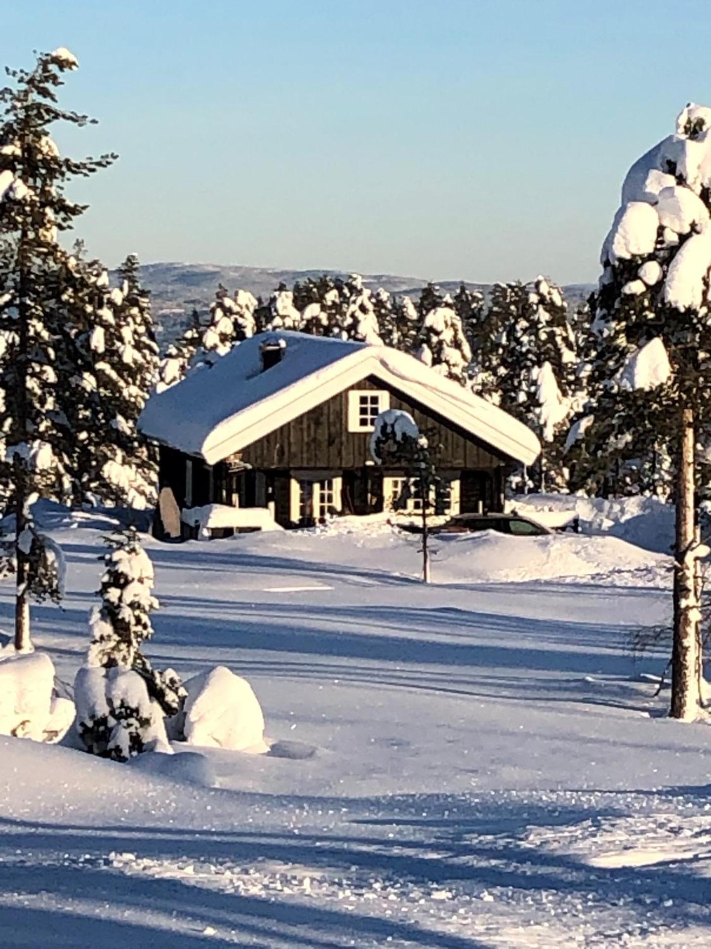 Trivelig by Norgesbooking - cabin at Blefjell