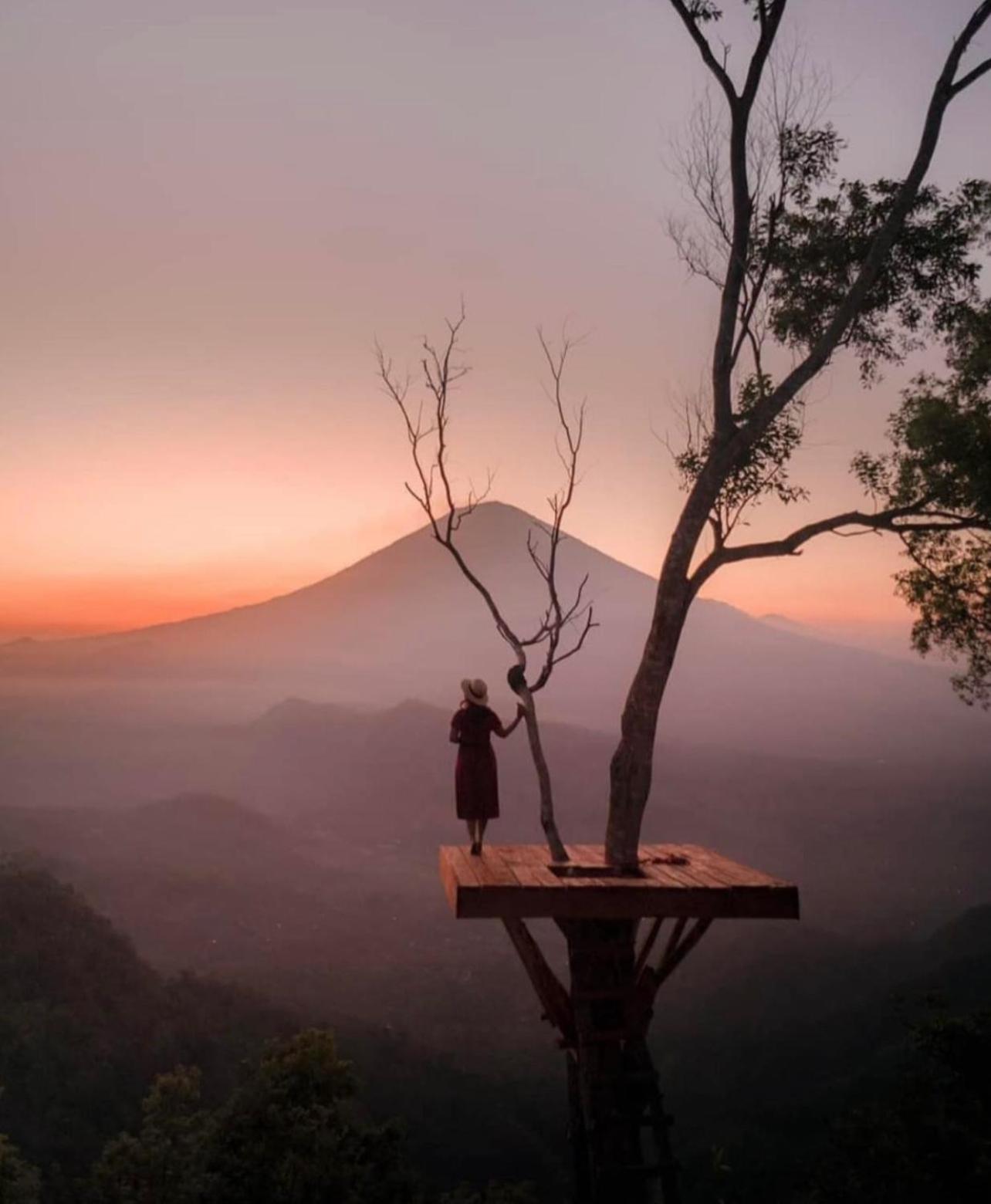 Tropical Habitat Bali