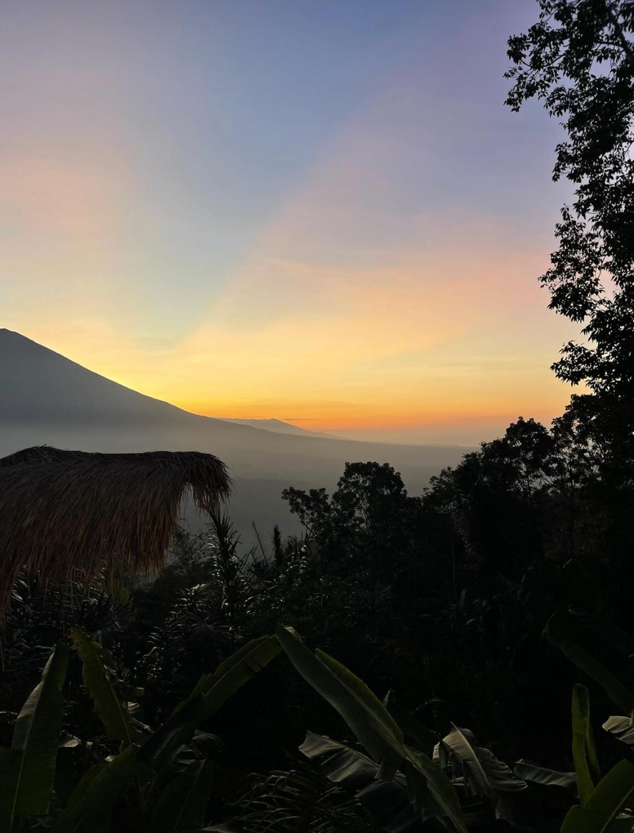 Tropical Habitat Bali