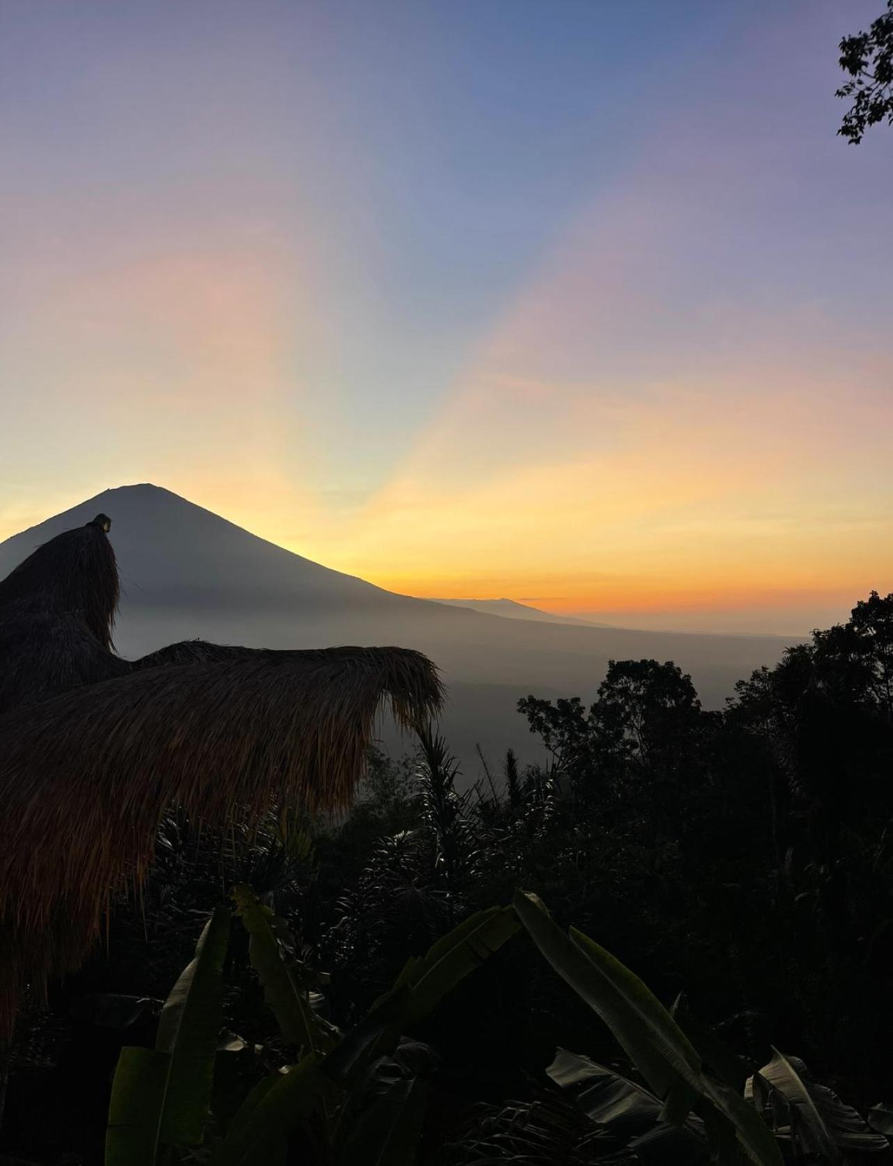 Tropical Habitat Bali