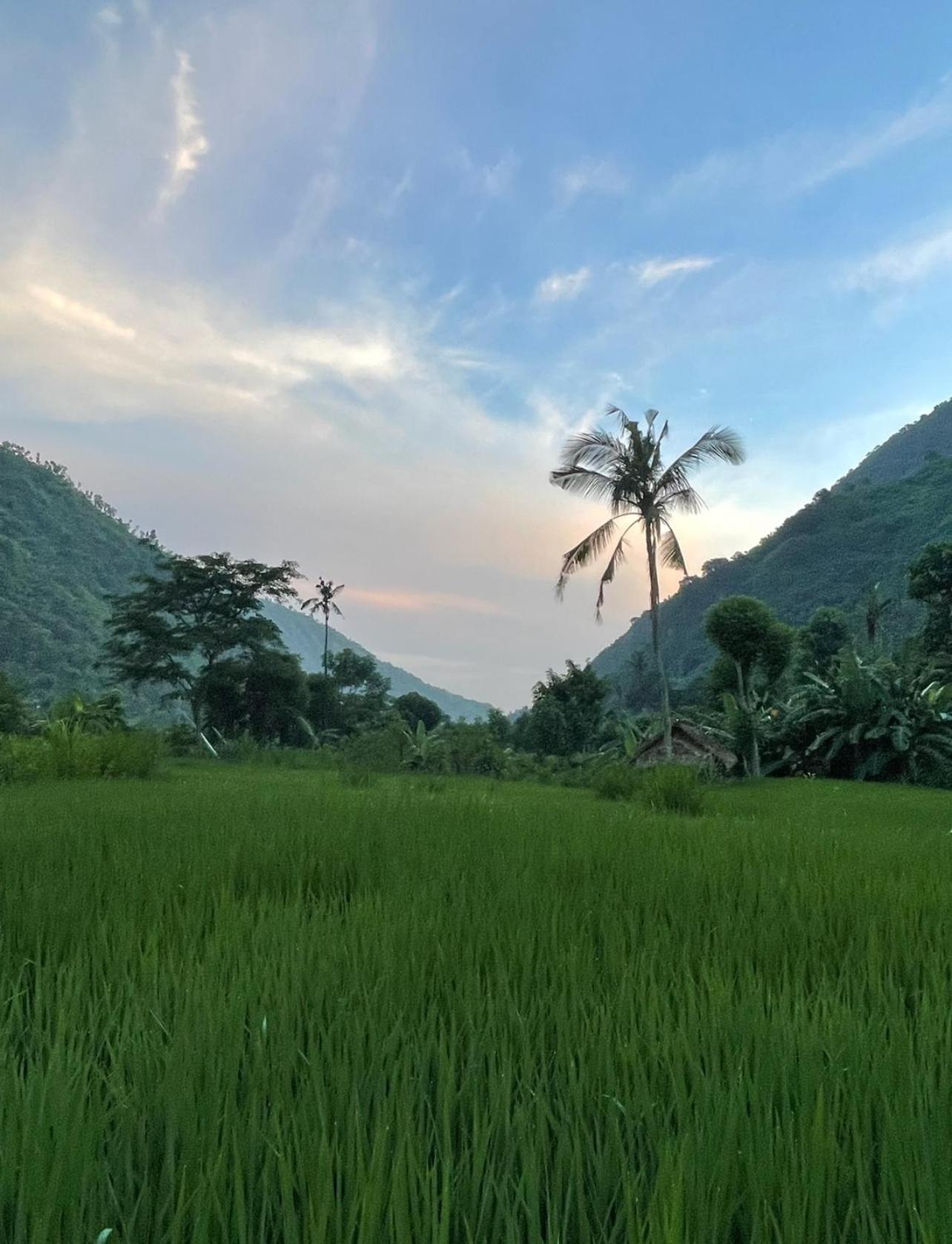 Tropical Habitat Bali