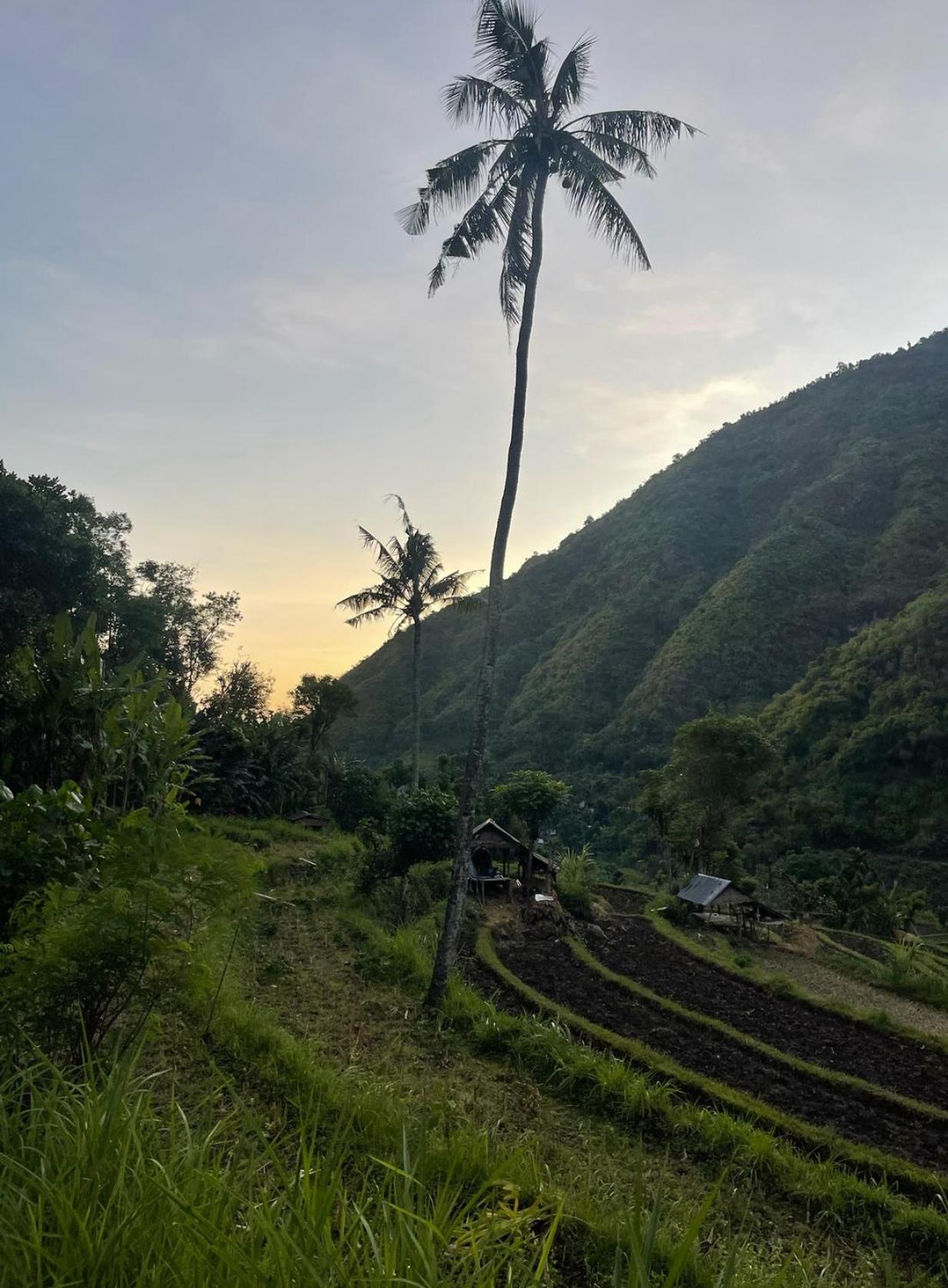 Tropical Habitat Bali