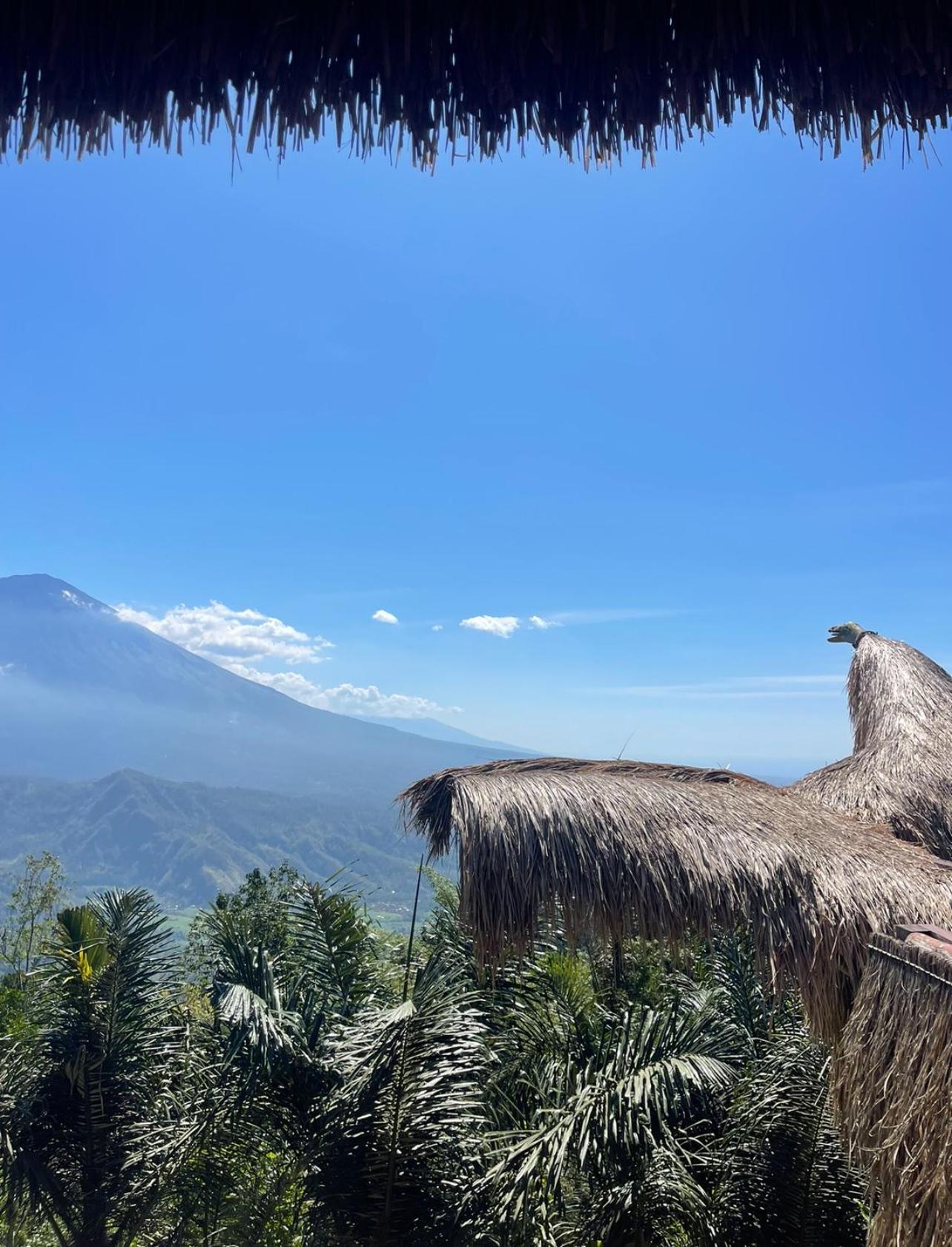 Tropical Habitat Bali