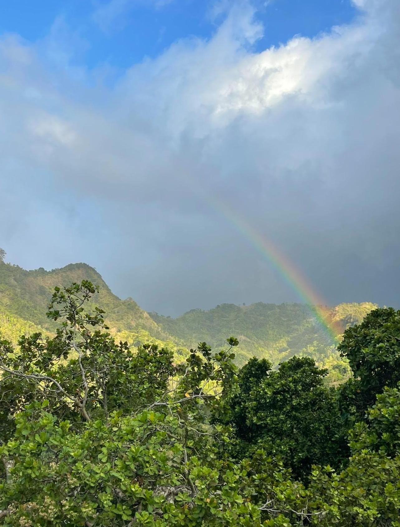 Tropical Habitat Bali