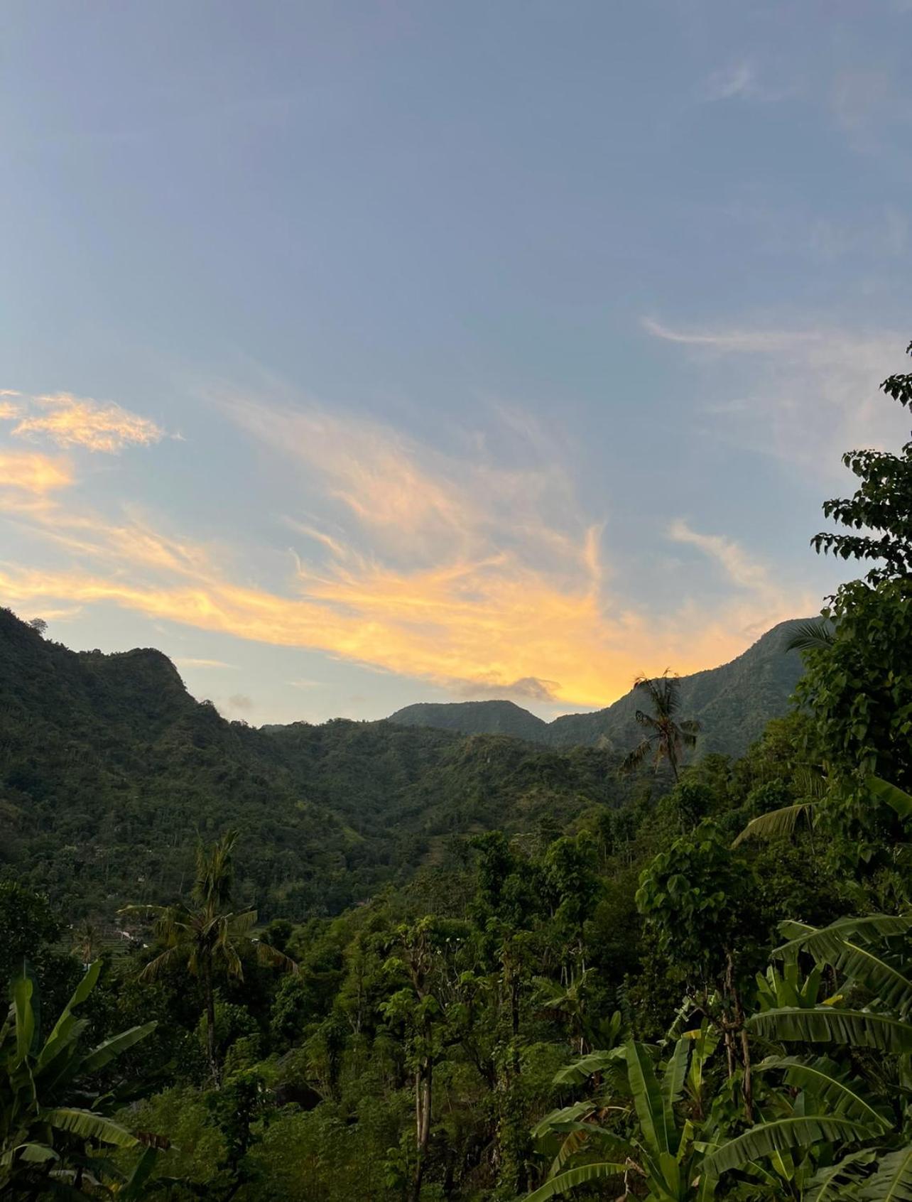 Tropical Habitat Bali