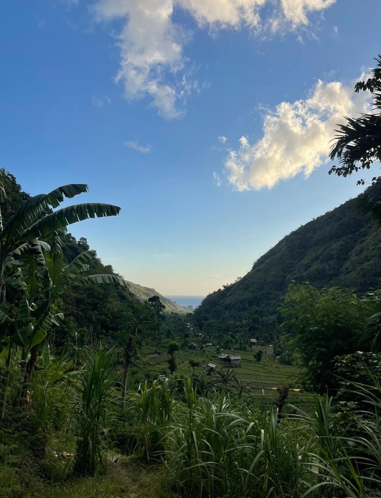 Tropical Habitat Bali