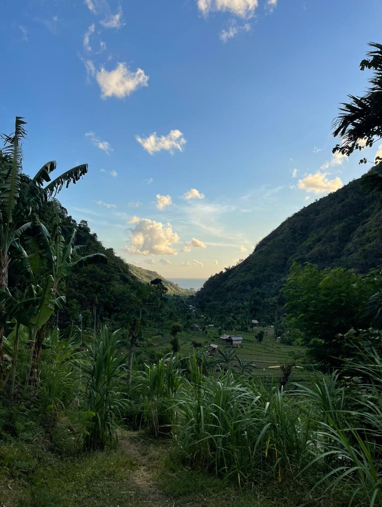 Tropical Habitat Bali