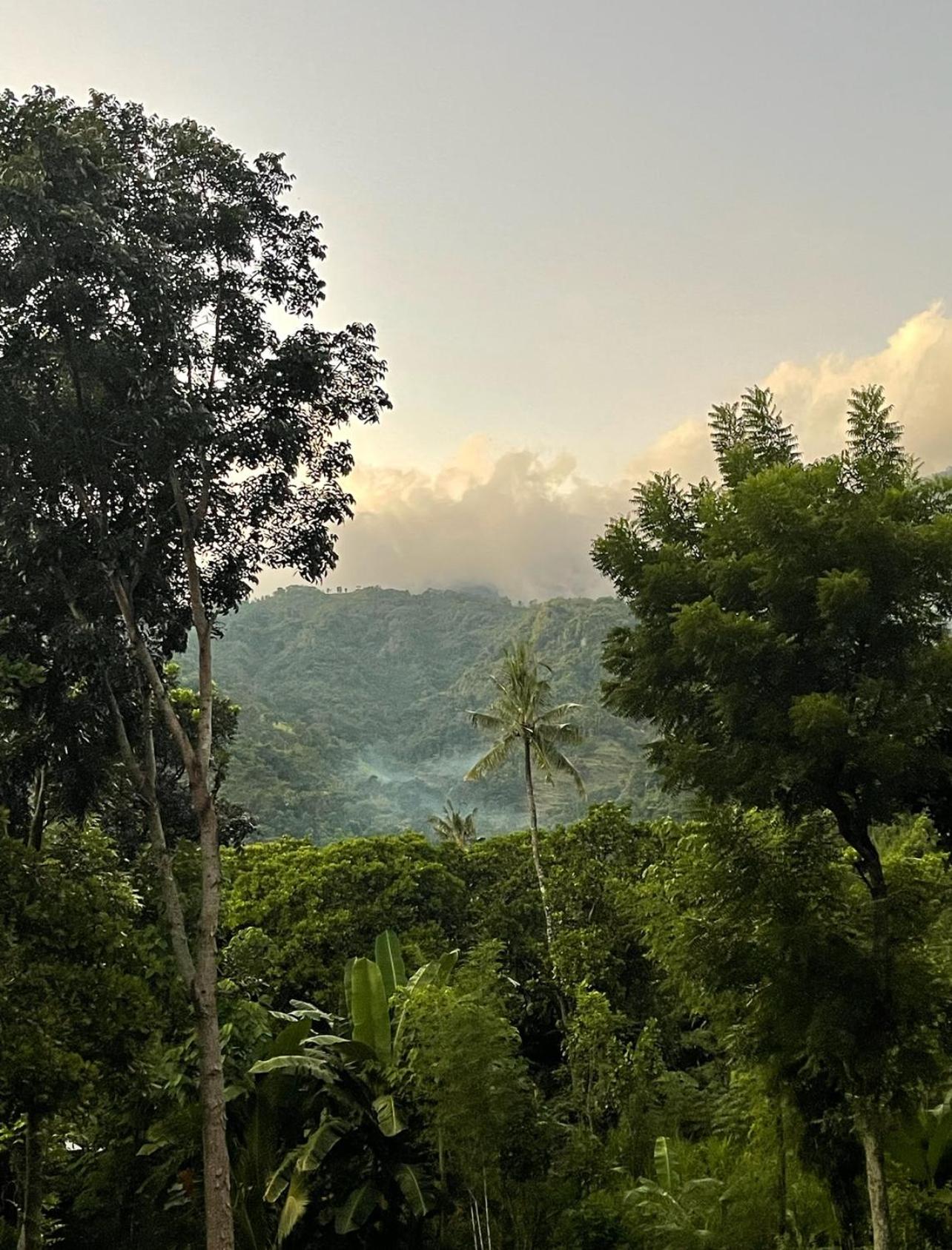 Tropical Habitat Bali