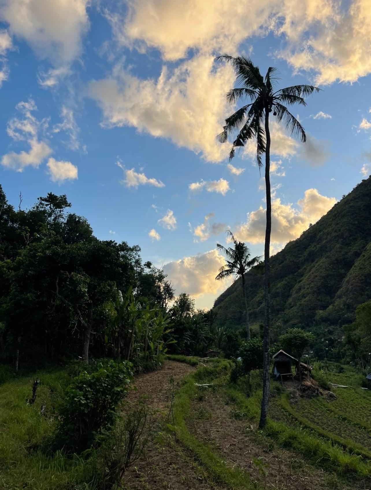 Tropical Habitat Bali