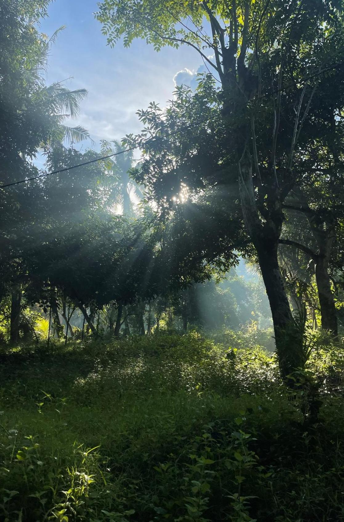 Tropical Habitat Bali