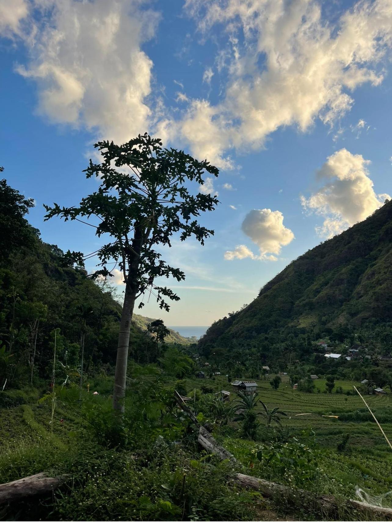 Tropical Habitat Bali