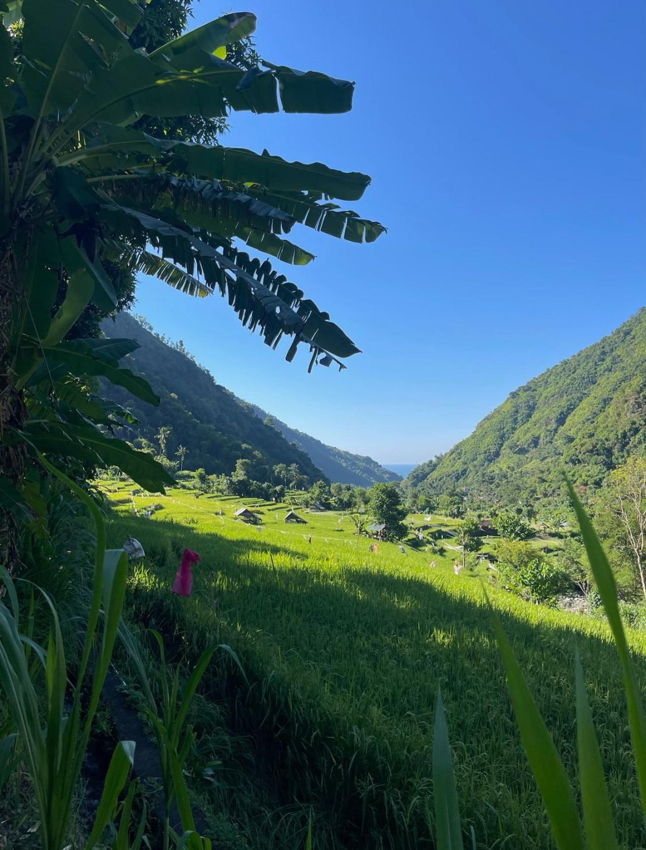 Tropical Habitat Bali