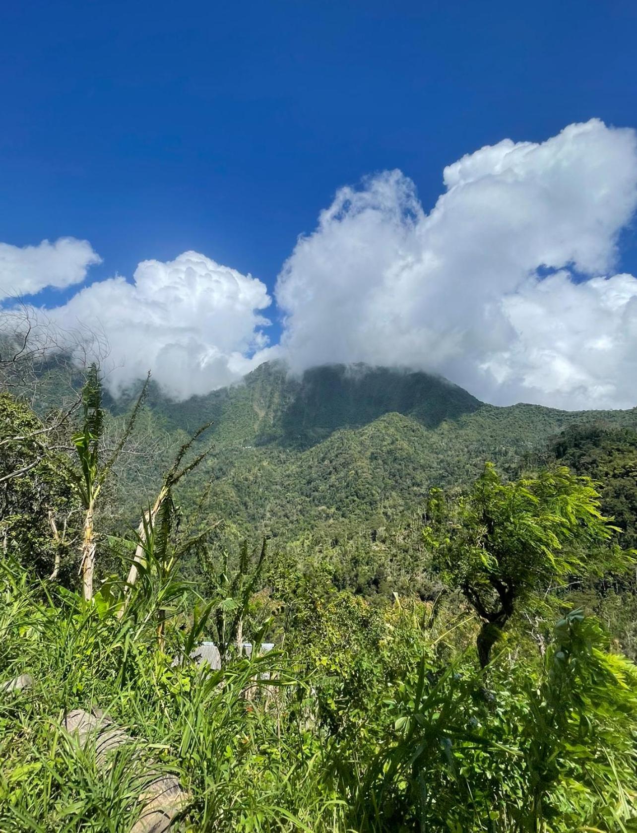 Tropical Habitat Bali