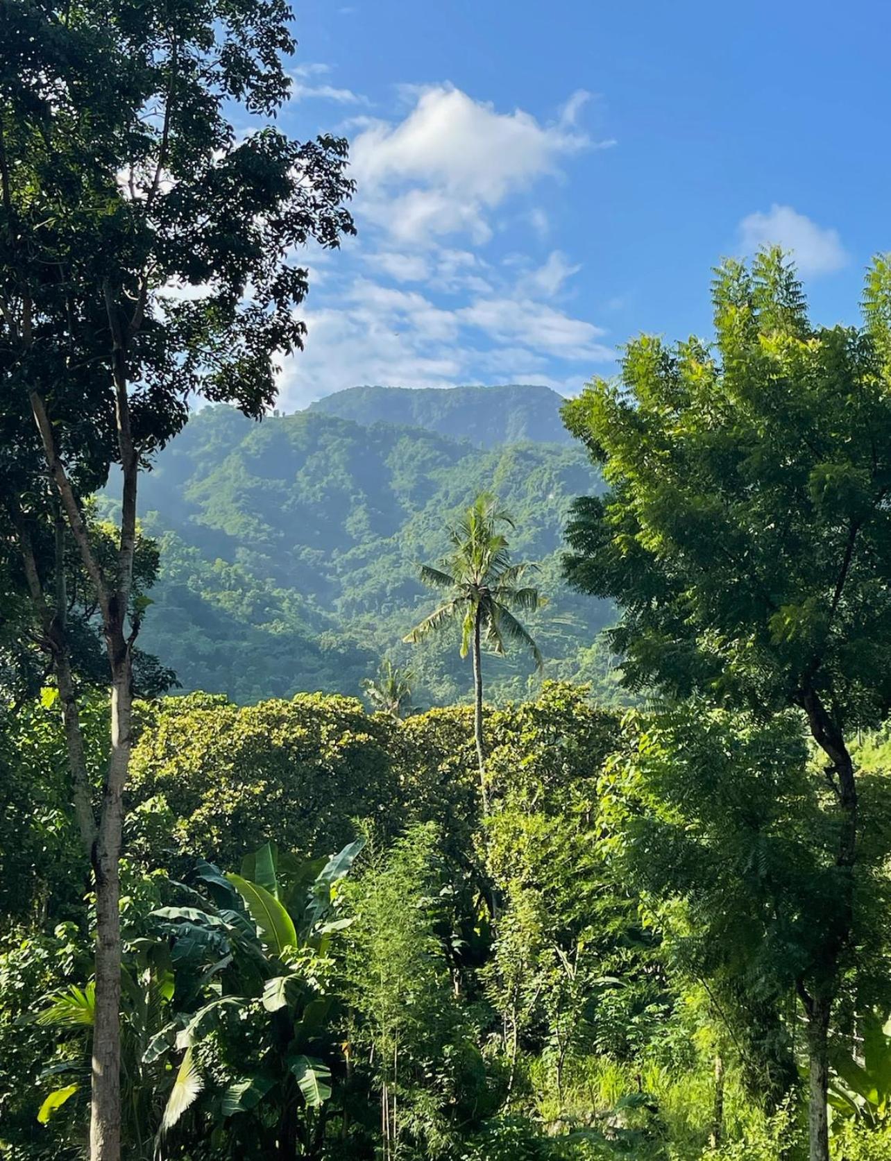 Tropical Habitat Bali