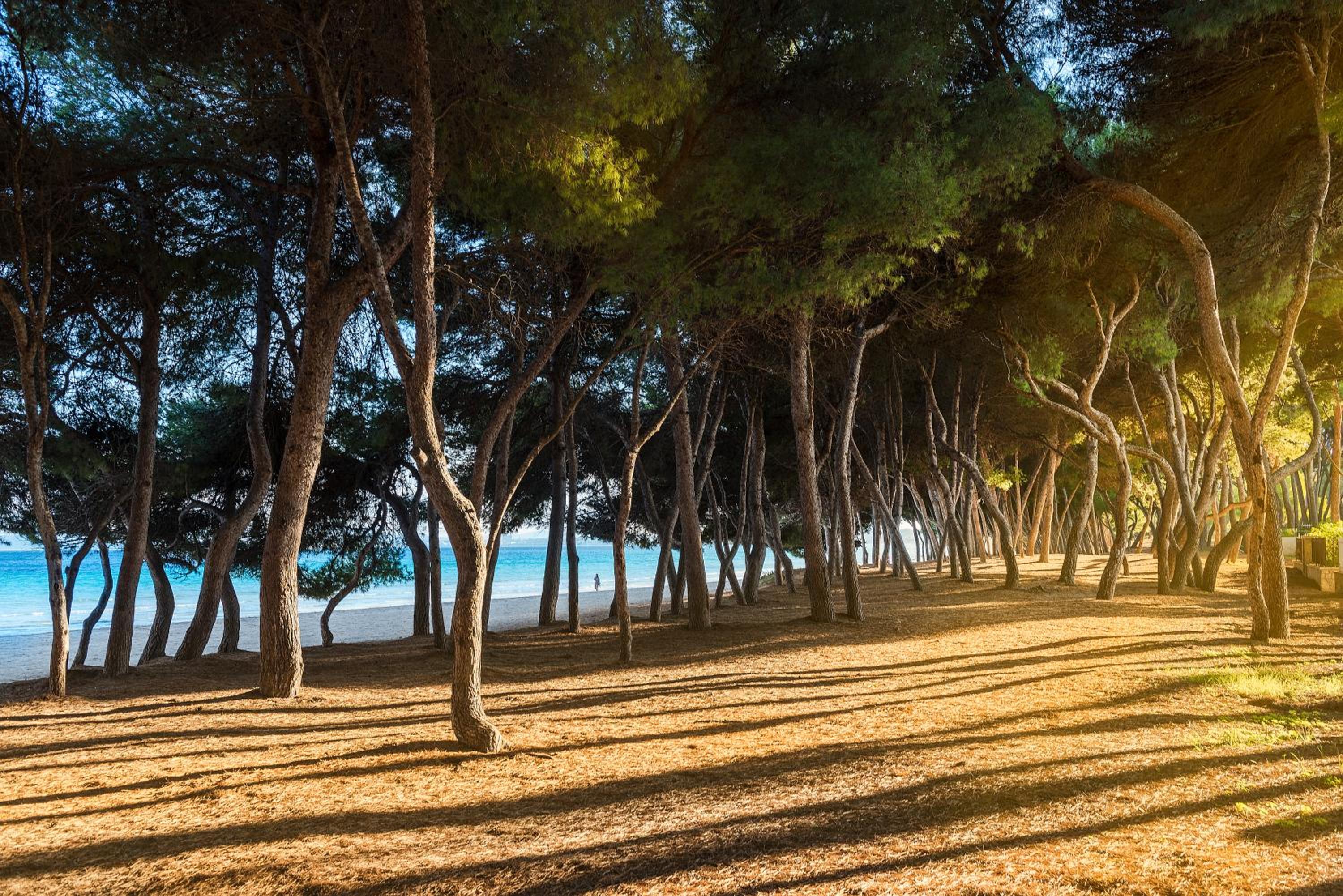 other