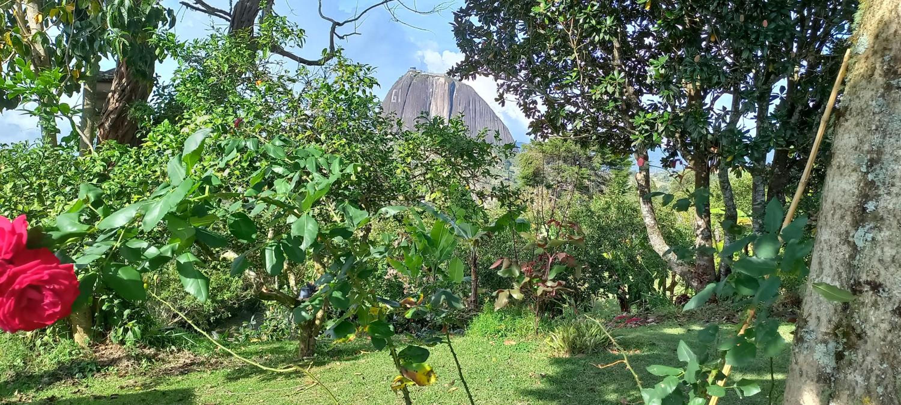 Casa de Campo PREMIUN