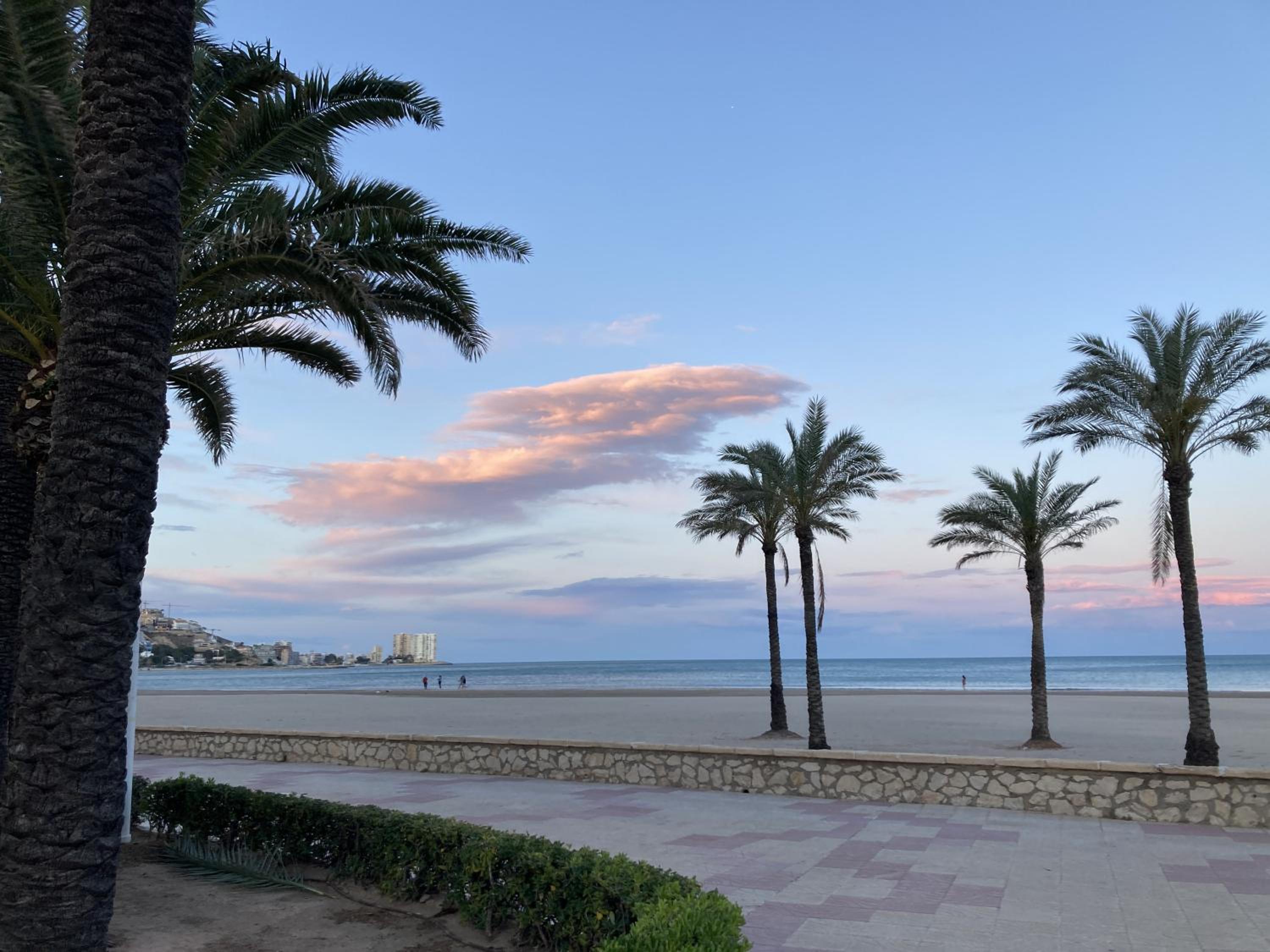 Palmera Beach House