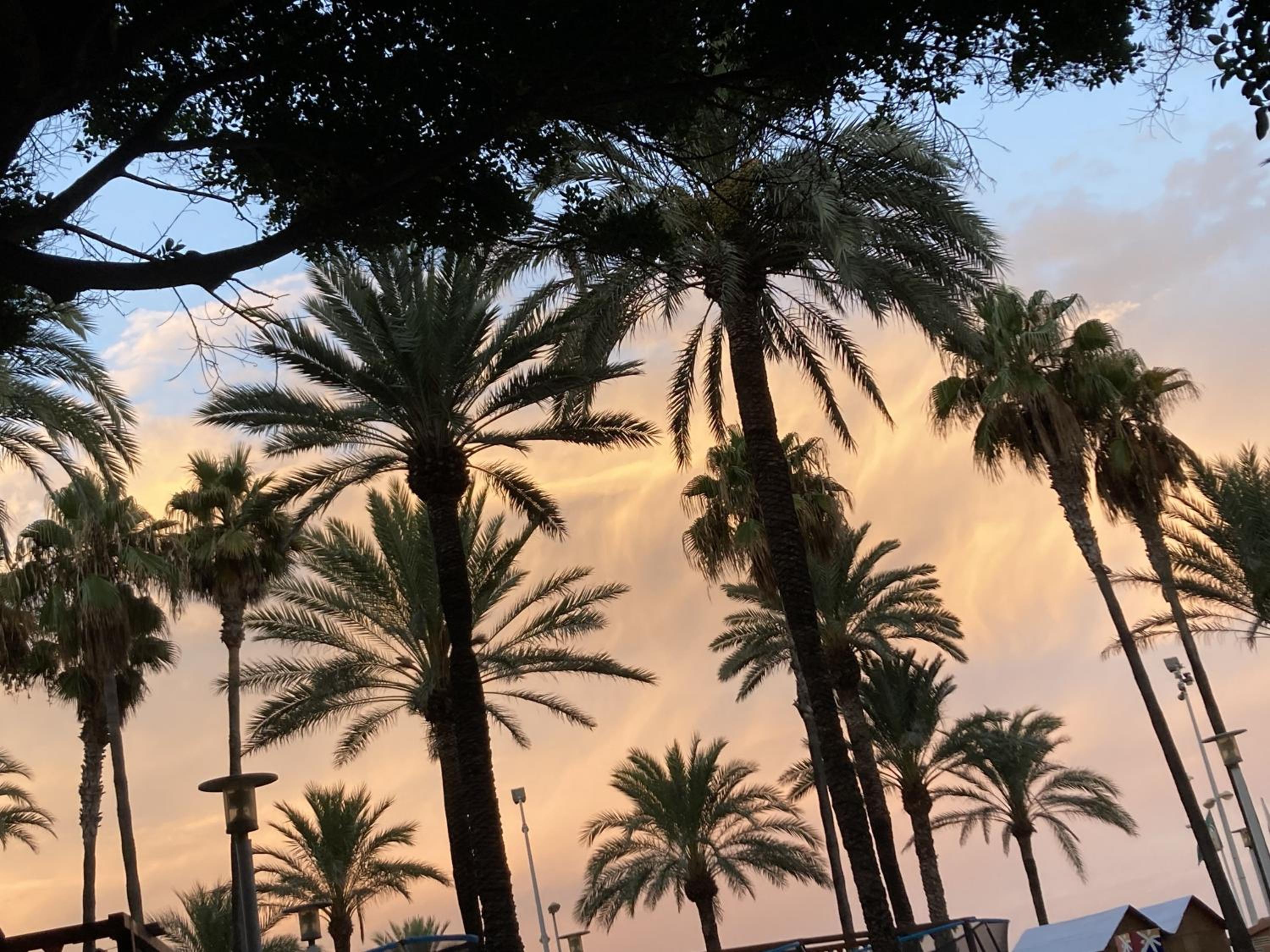 Palmera Beach House
