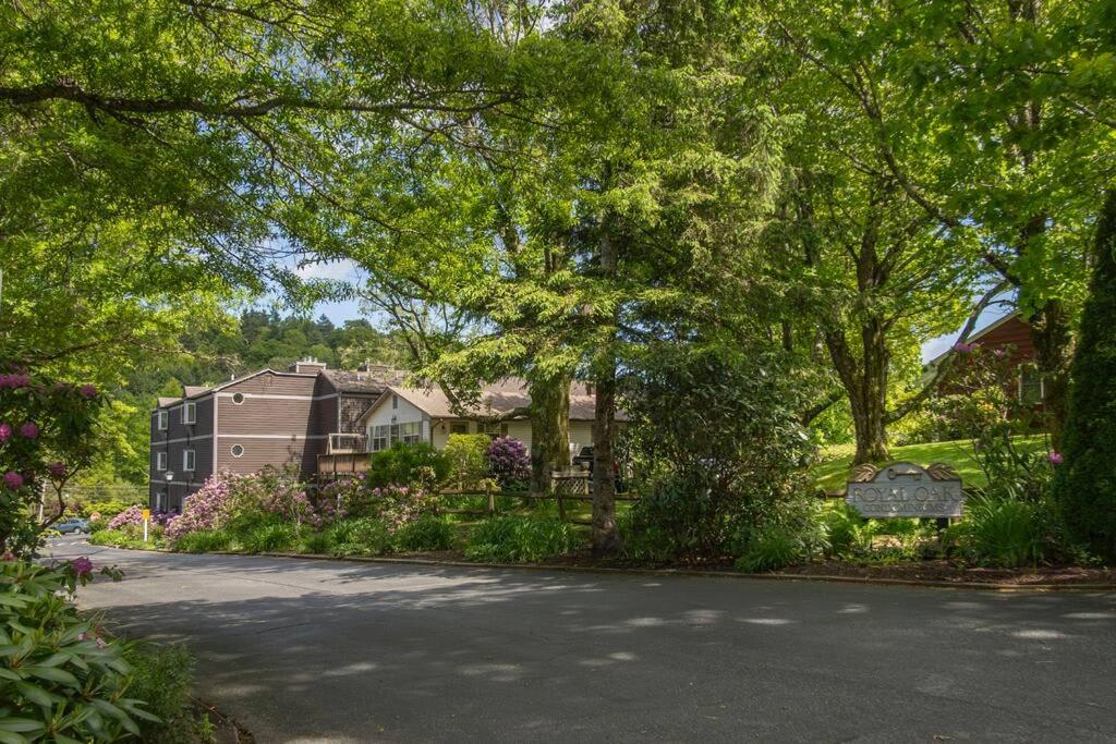 Brook Haven Condo - Downtown Blowing Rock Ground Floor Fully Stocked with 2 King Beds view 5