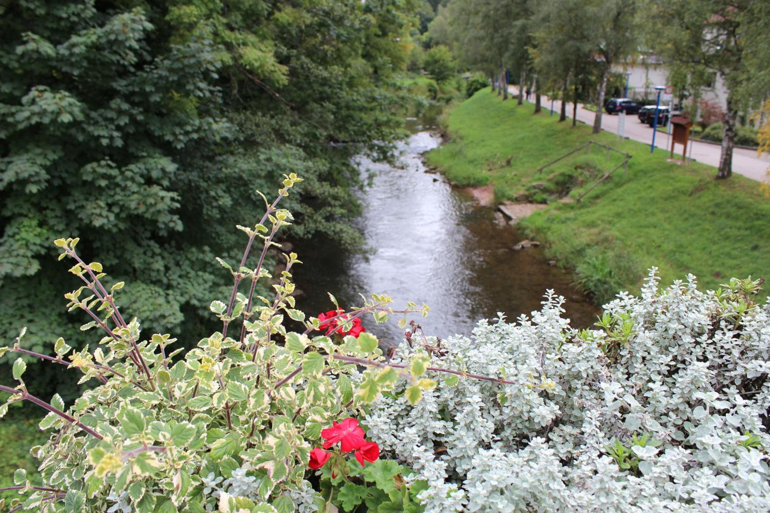 Ferienwohnung Weitblick