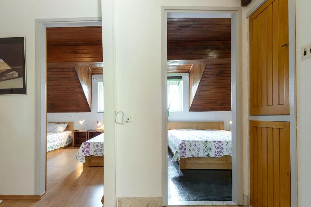Charming Dalmatian 2-Bedroom cottage in the heart of Old Town Cavtat view 4