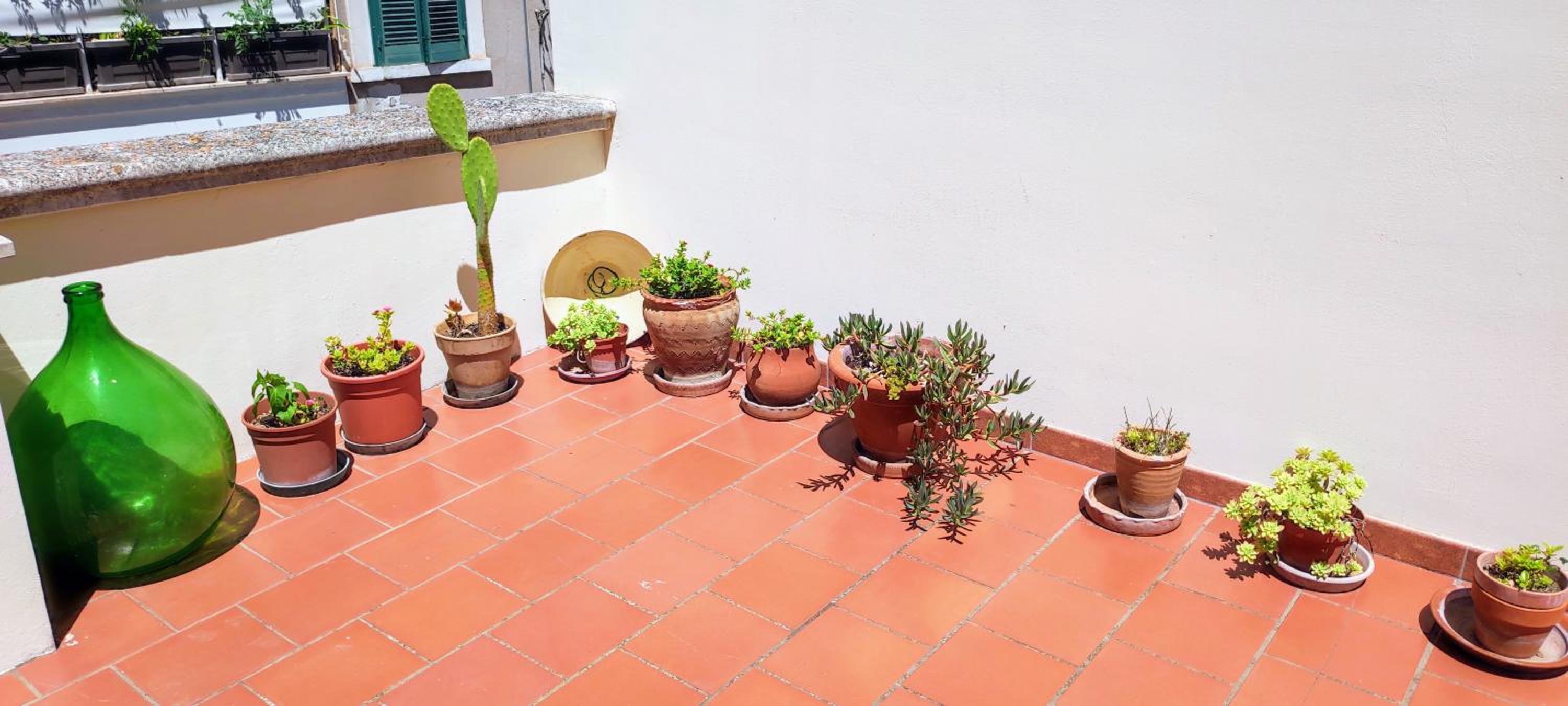 Photo 35