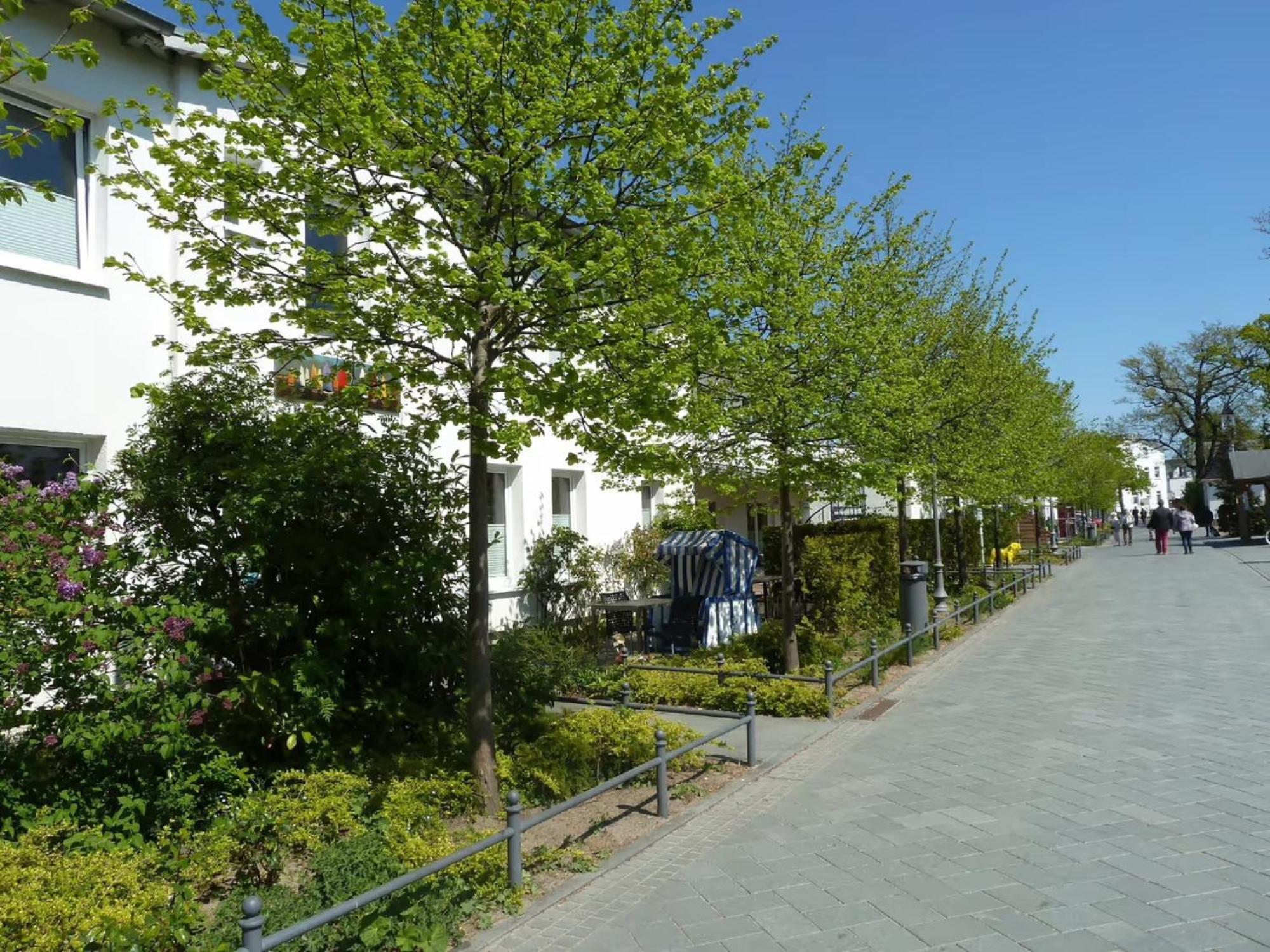 Haus Frohsinn - Wohnung 5