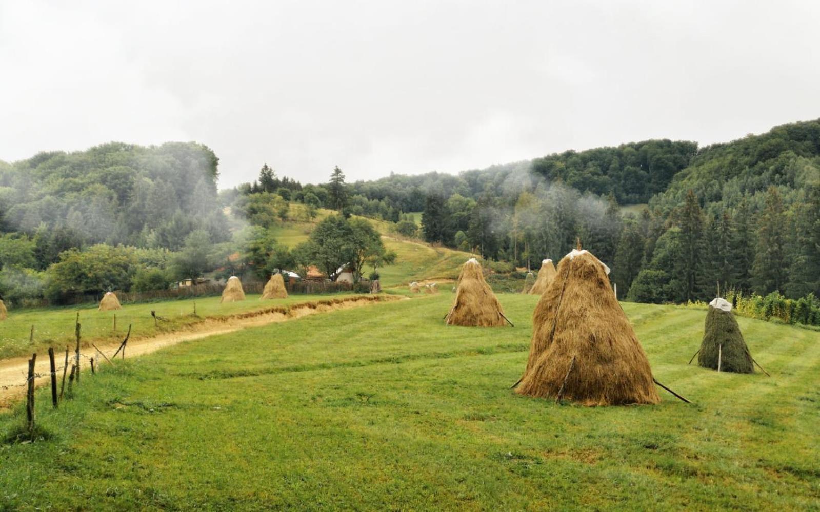 Pensiunea Poiana Viselor
