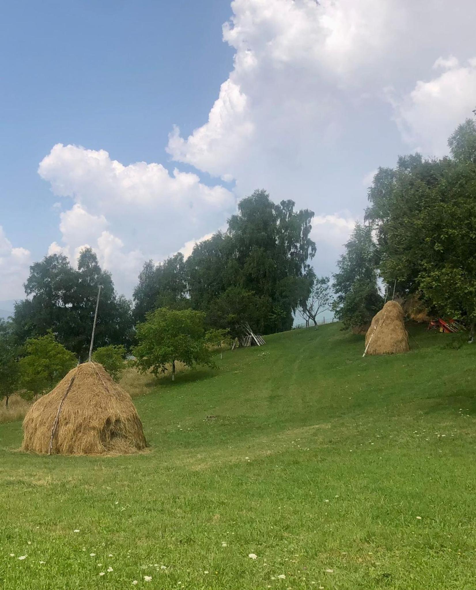 Pensiunea Poiana Viselor