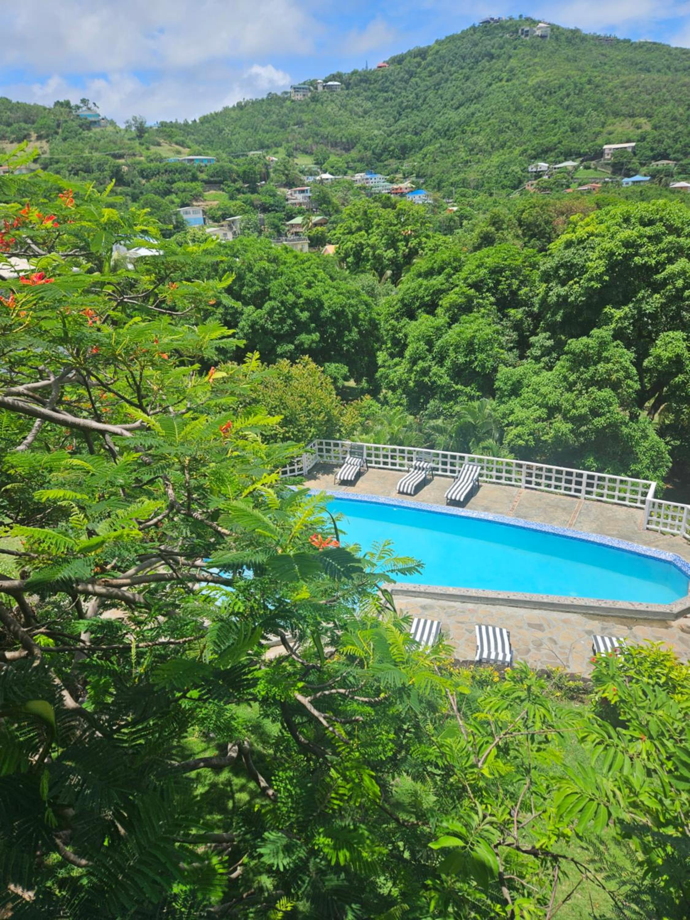 Sugarapple Bequia