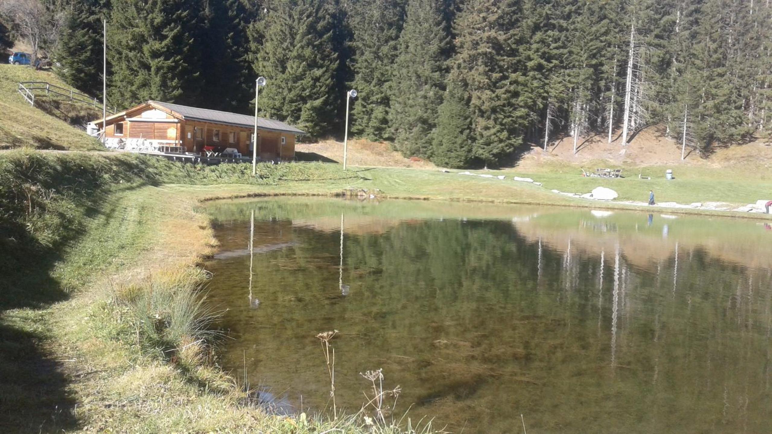 Chalet Heinzenberg