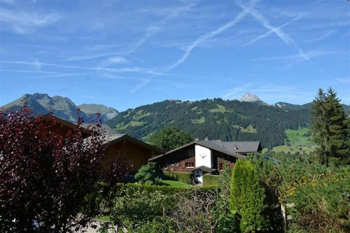 Gstaad Blue Sky Chalet