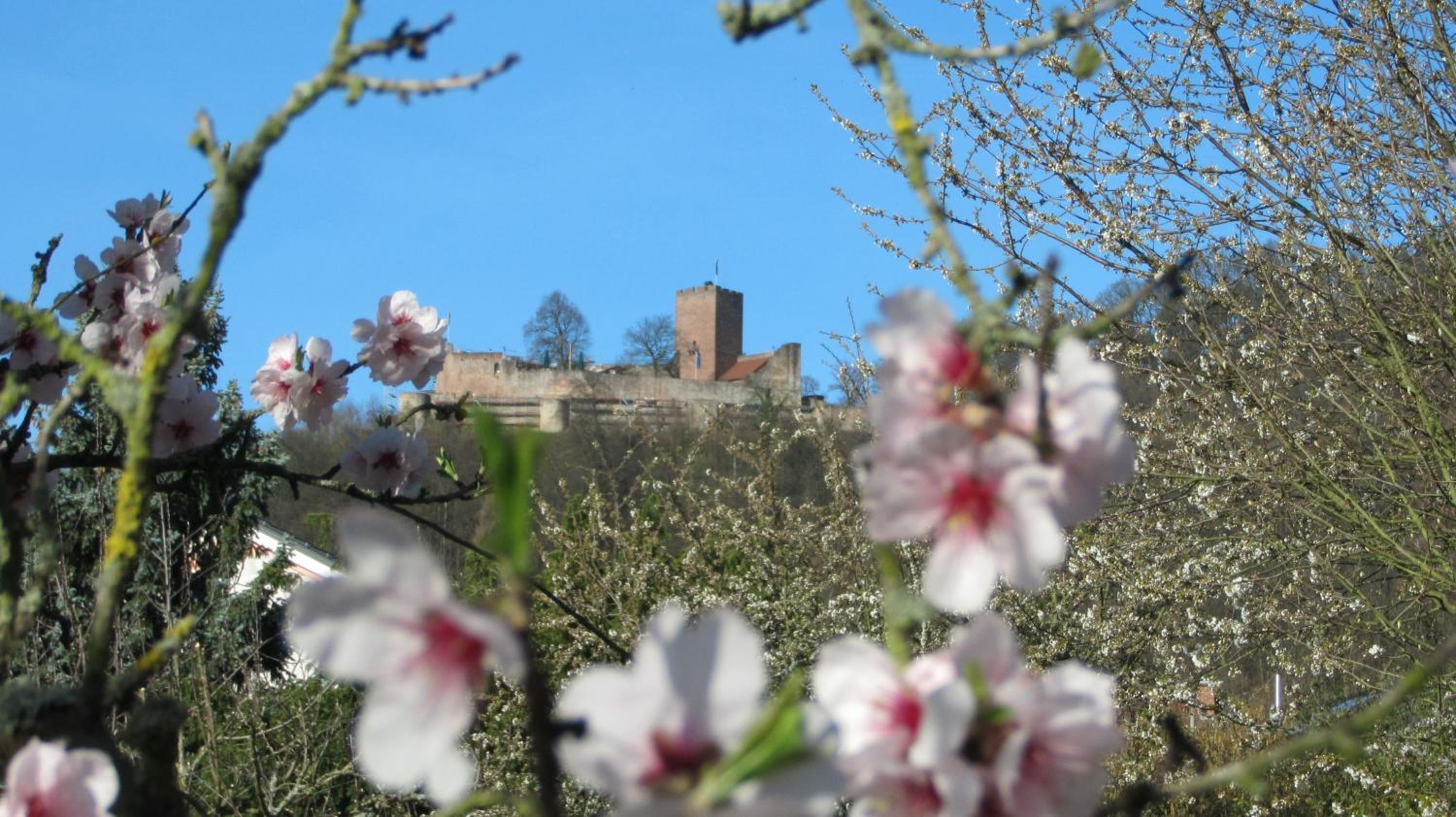 Ferienhaus Mandelblüte