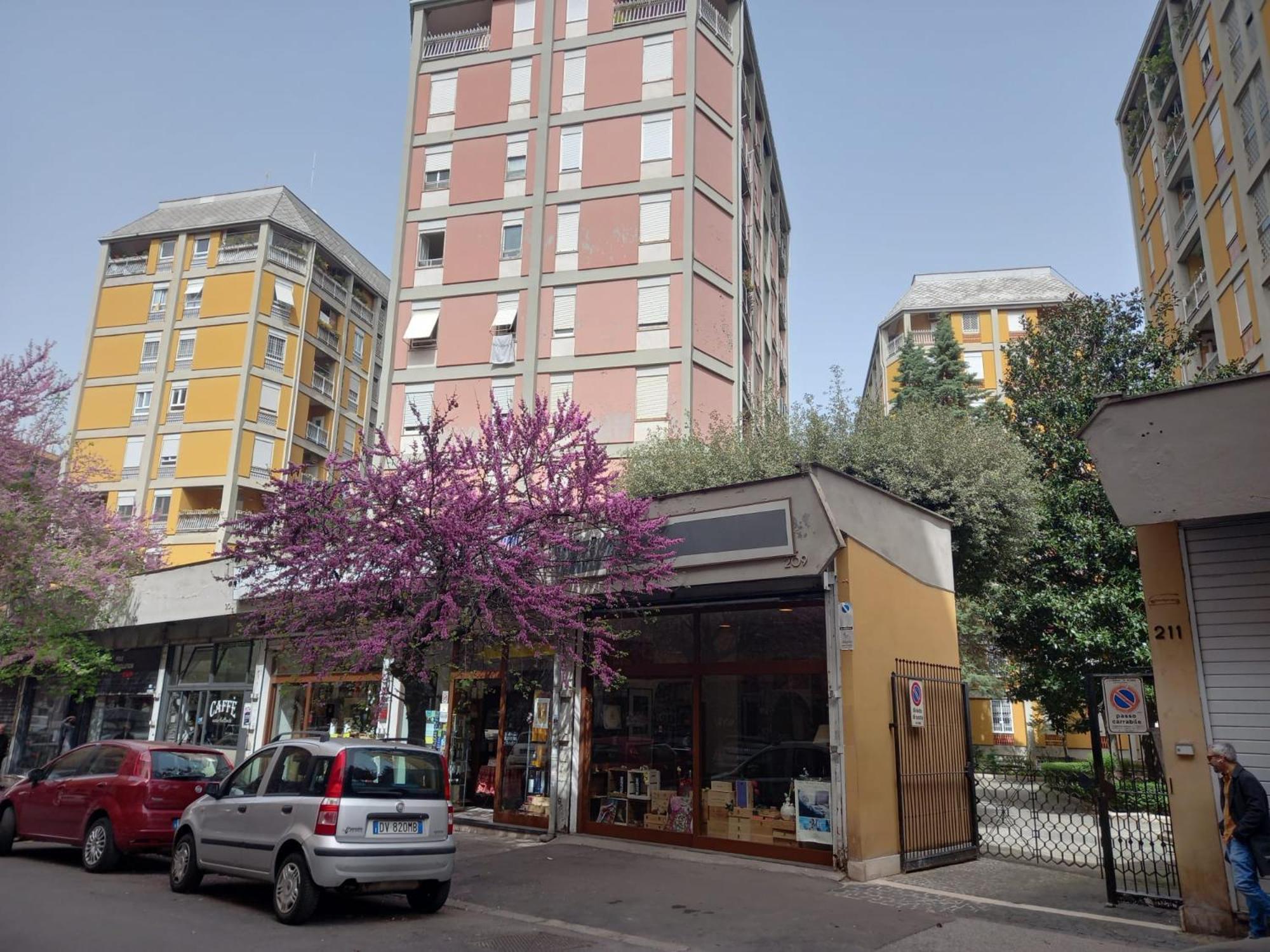 Oasi Ridolfi photo 3