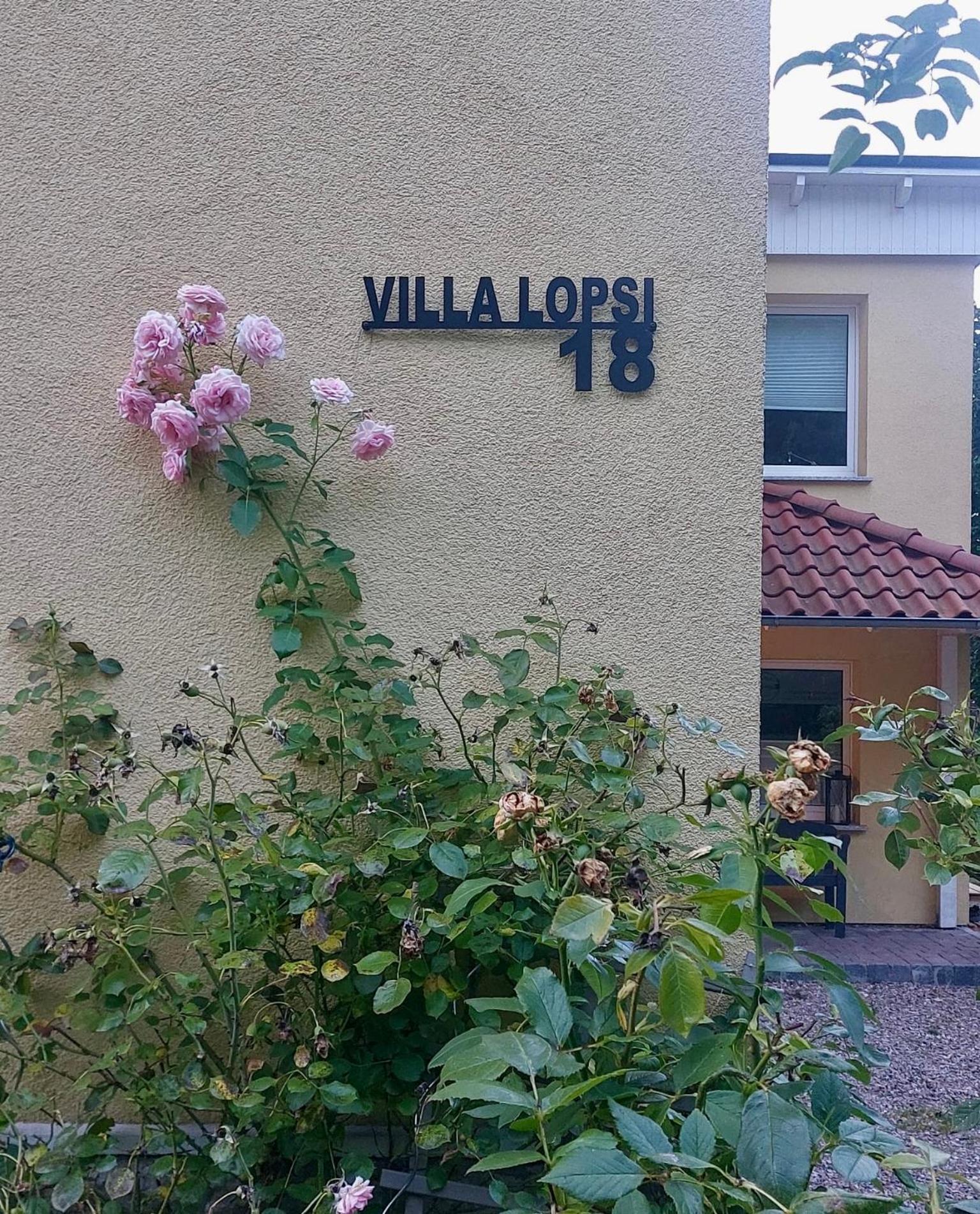 Little Lopsi