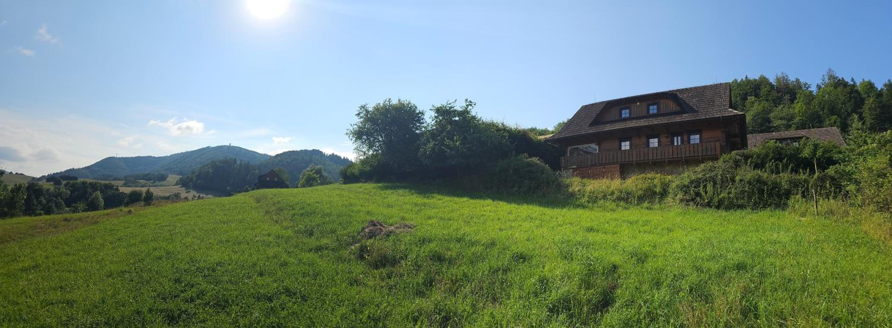 Drevenica Milena