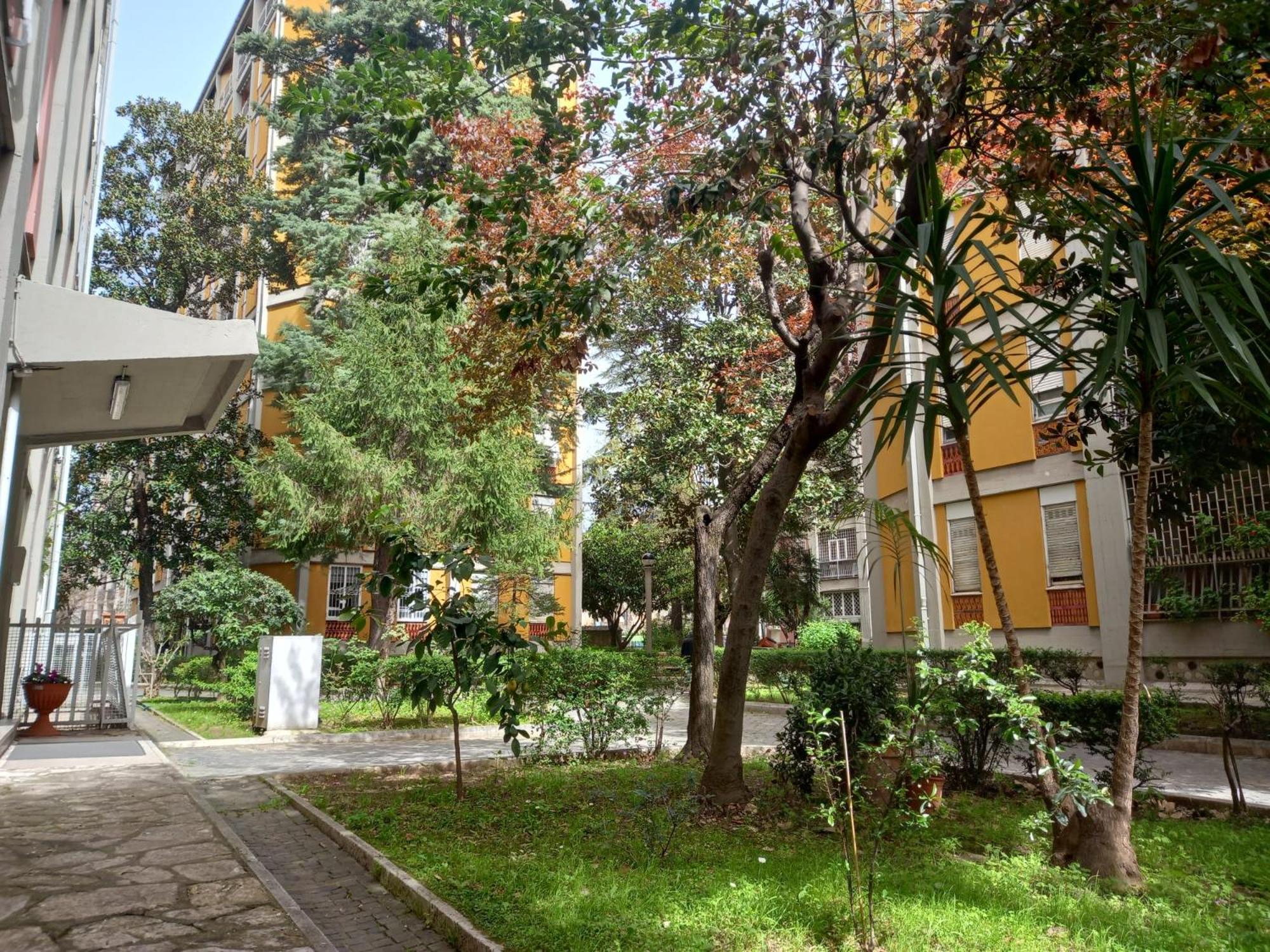 Oasi Ridolfi photo 2